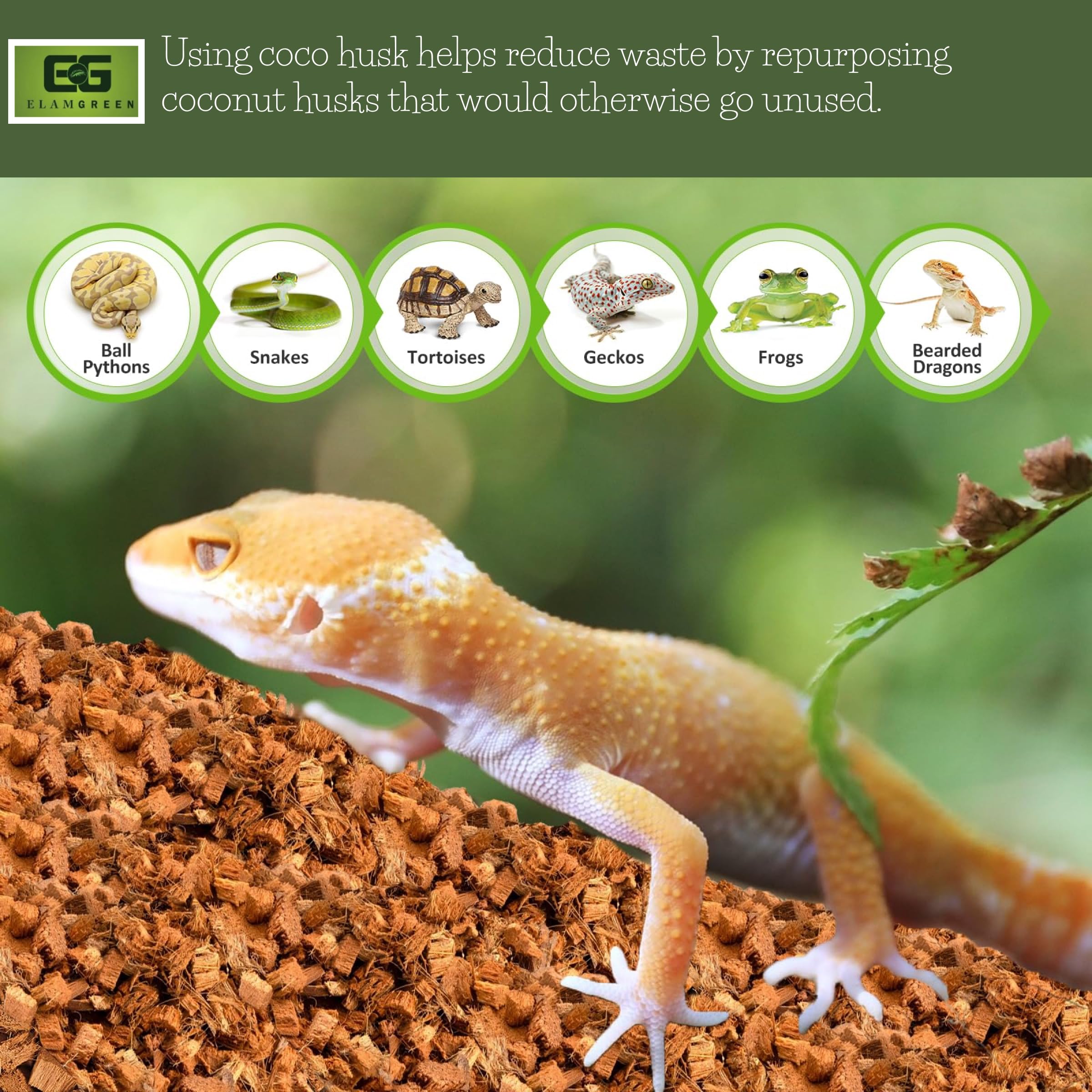 Elamgreen Natural Coconut Husk for Reptiles | Bedding Coir Chips Terrarium Substrate for Ball Python Frog Snake Turtles, Gecko Hermit Crab Tortoise (500g) 1