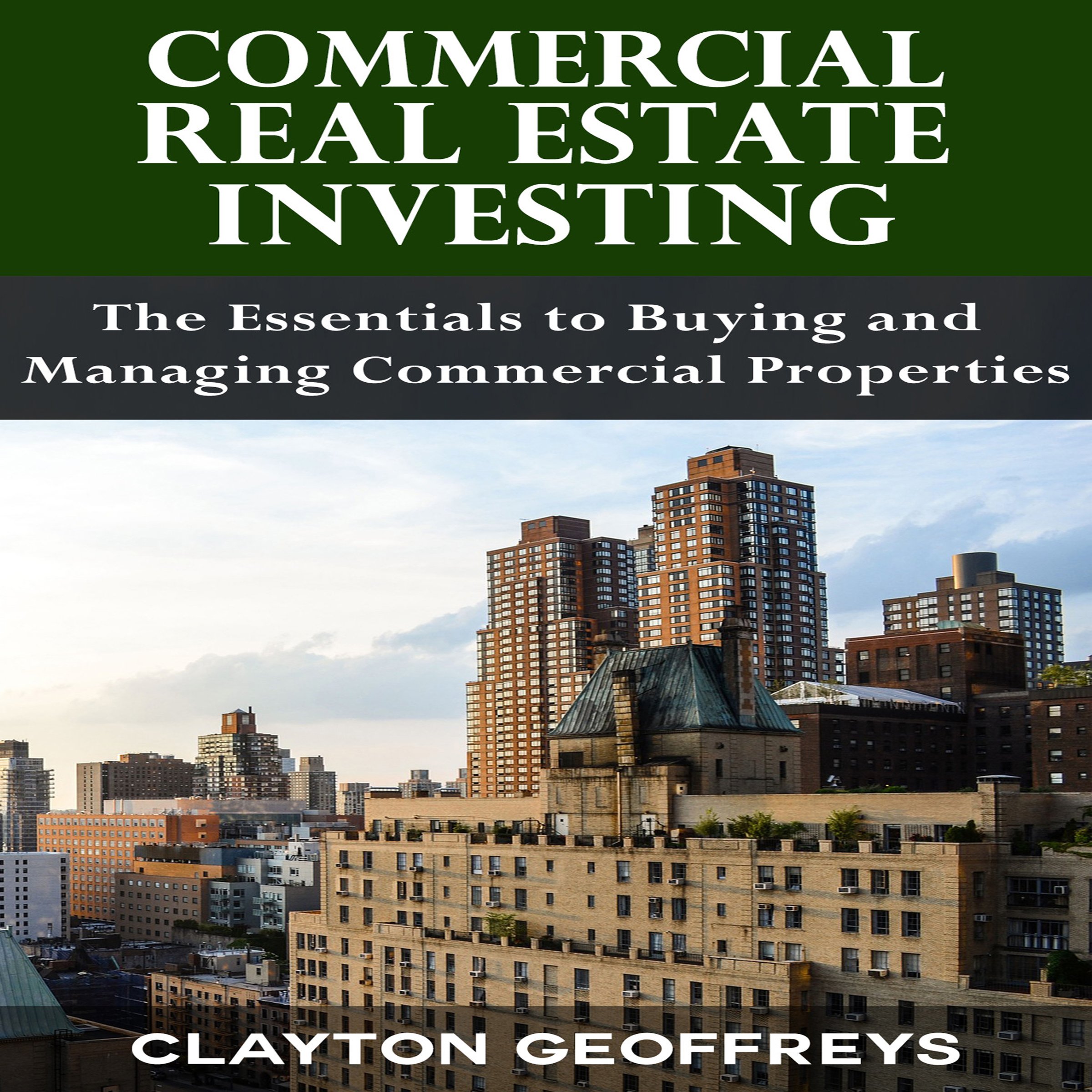 Cover art for Commercial Real Estate Investing: The Essentials to Buying and Managing Commercial Properties