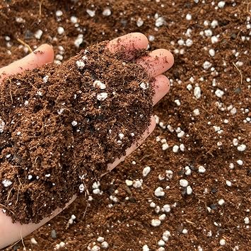 Coco Perlite Mix 70/30 with activated biochar - Enhanced Potting Soil Mix for Optimal Plant Growth and Health (2L)