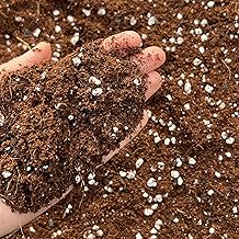 Coco Perlite Mix 70/30 with activated biochar - Enhanced Potting Soil Mix for Optimal Plant Growth and Health (3L)