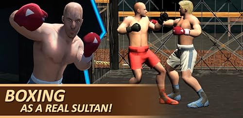 Sultan: The Fighter