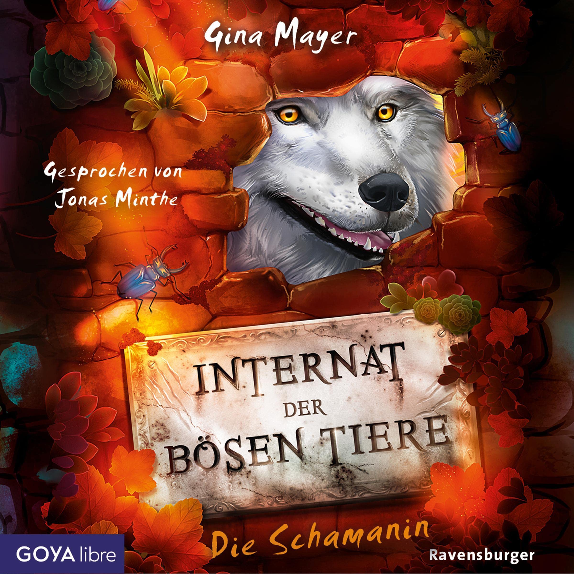 Cover art for Die Schamanin