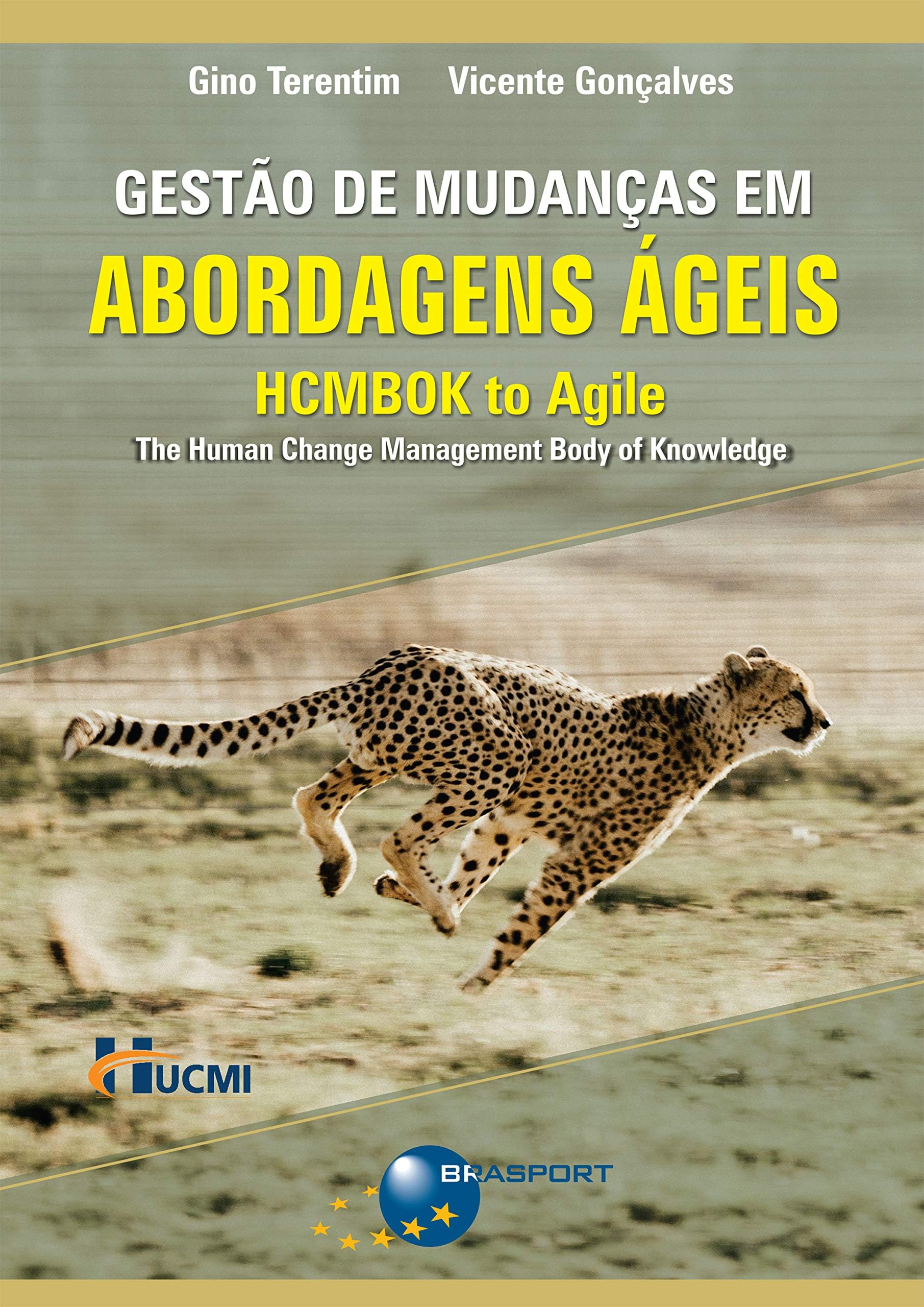 Gestão de Mudanças em Abordagens Ágeis: HCMBOK to Agile (Portuguese Edition)