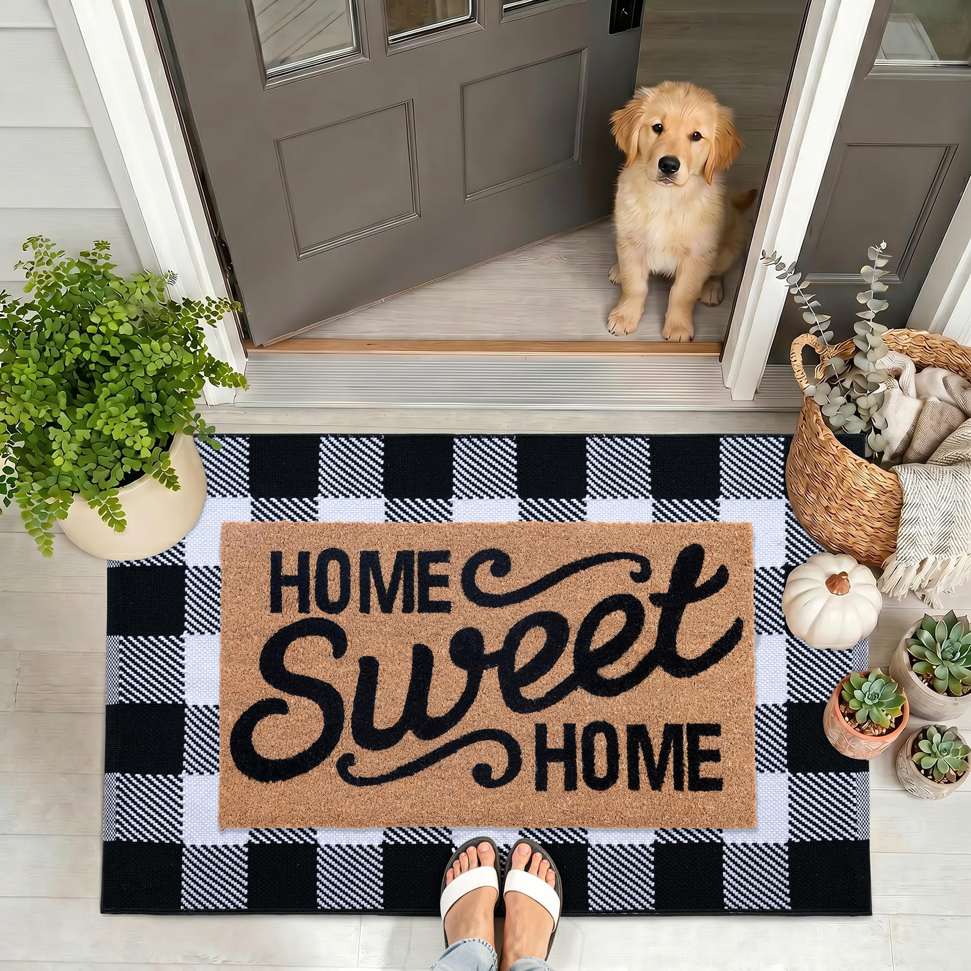 Black & White Buffalo Rug - Halloween Door Mat -2 Black & White Buffalo Rug - Halloween Door Mat -2