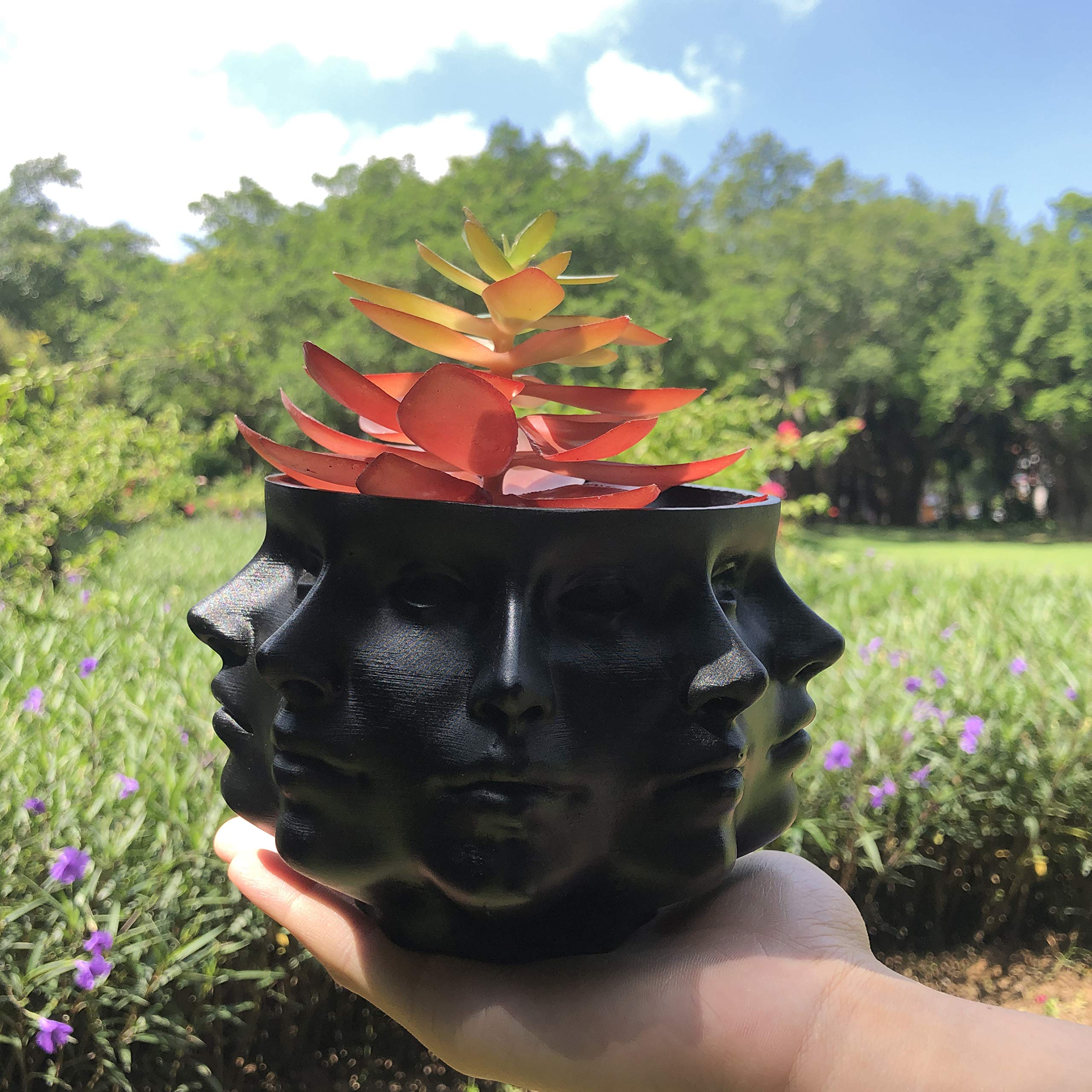 Amazon.co.jp: マルチフェイス 多肉植物 プランター 花瓶 小顔