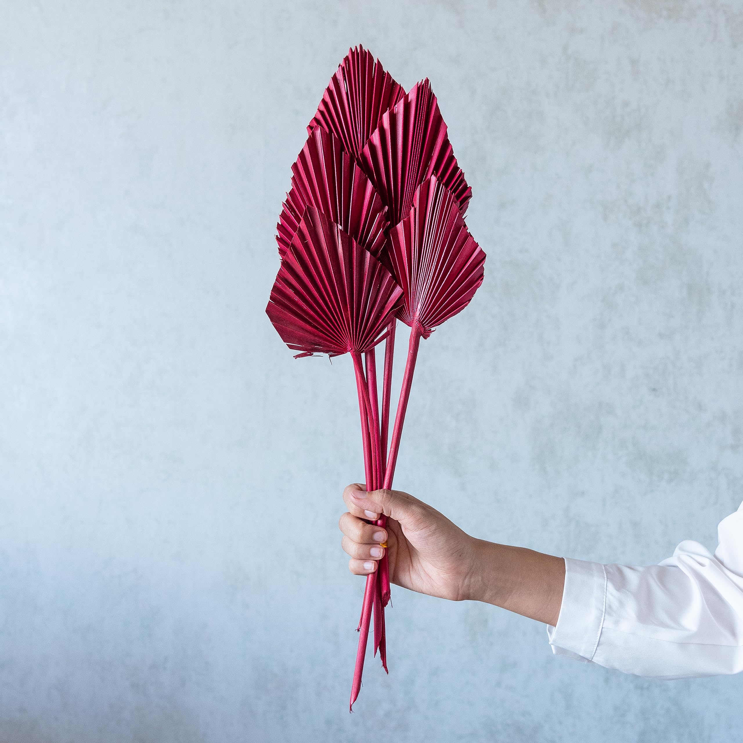 Flowers and Fillers || Red Palm Spear | Natural Dried Flower | Eco-Friendly Flowers for Home, Office, Bedroom, Table Decoration and Craft Items Corner (Without Vase Pot)-image-42