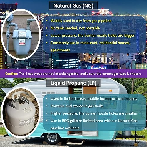 Miniatura 4 de Wok chino rango 23 puntas Jet Burner, puntas de cobre, cuerpo de hierro fundido, gas natural WR-JBR23NG