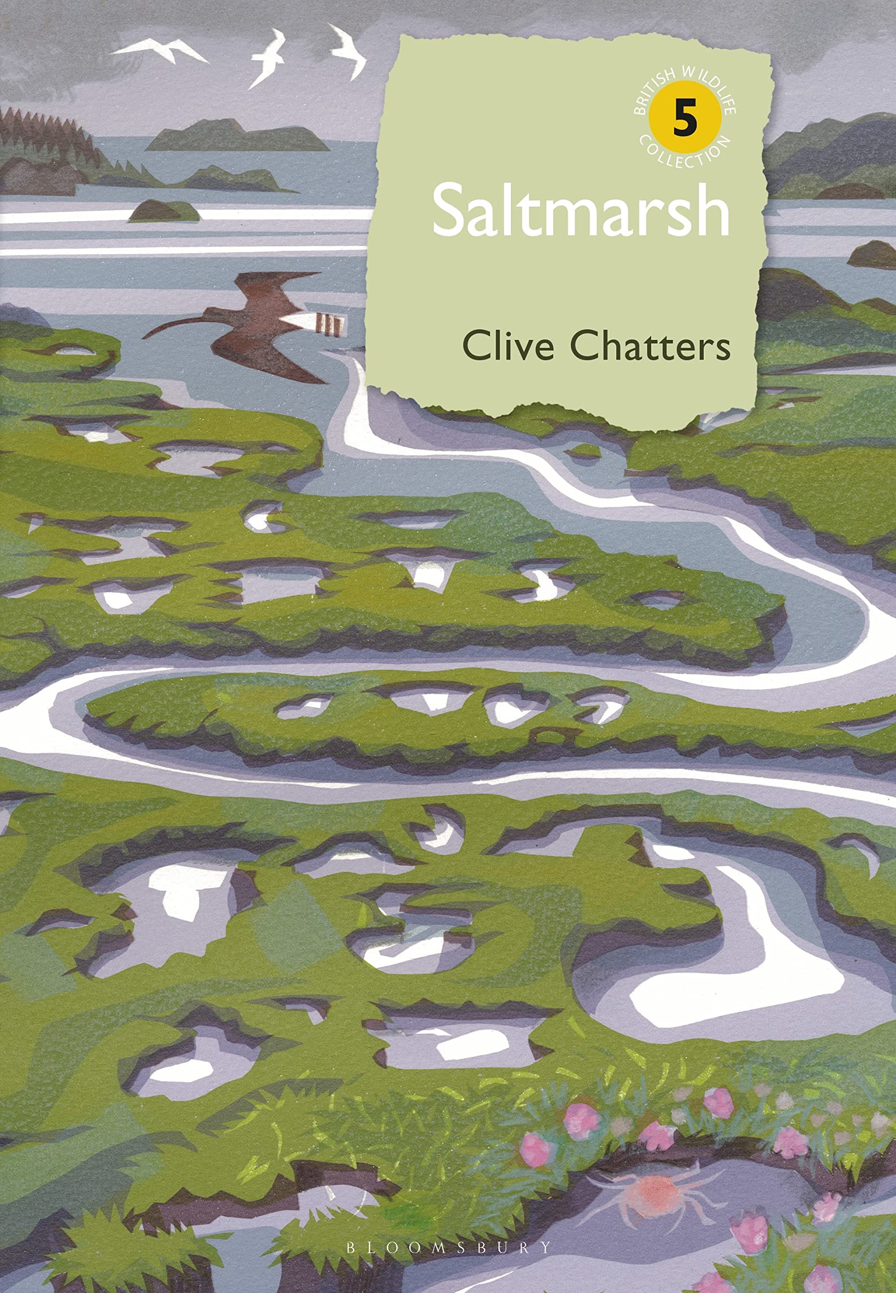 Saltmarsh (British Wildlife Collection)