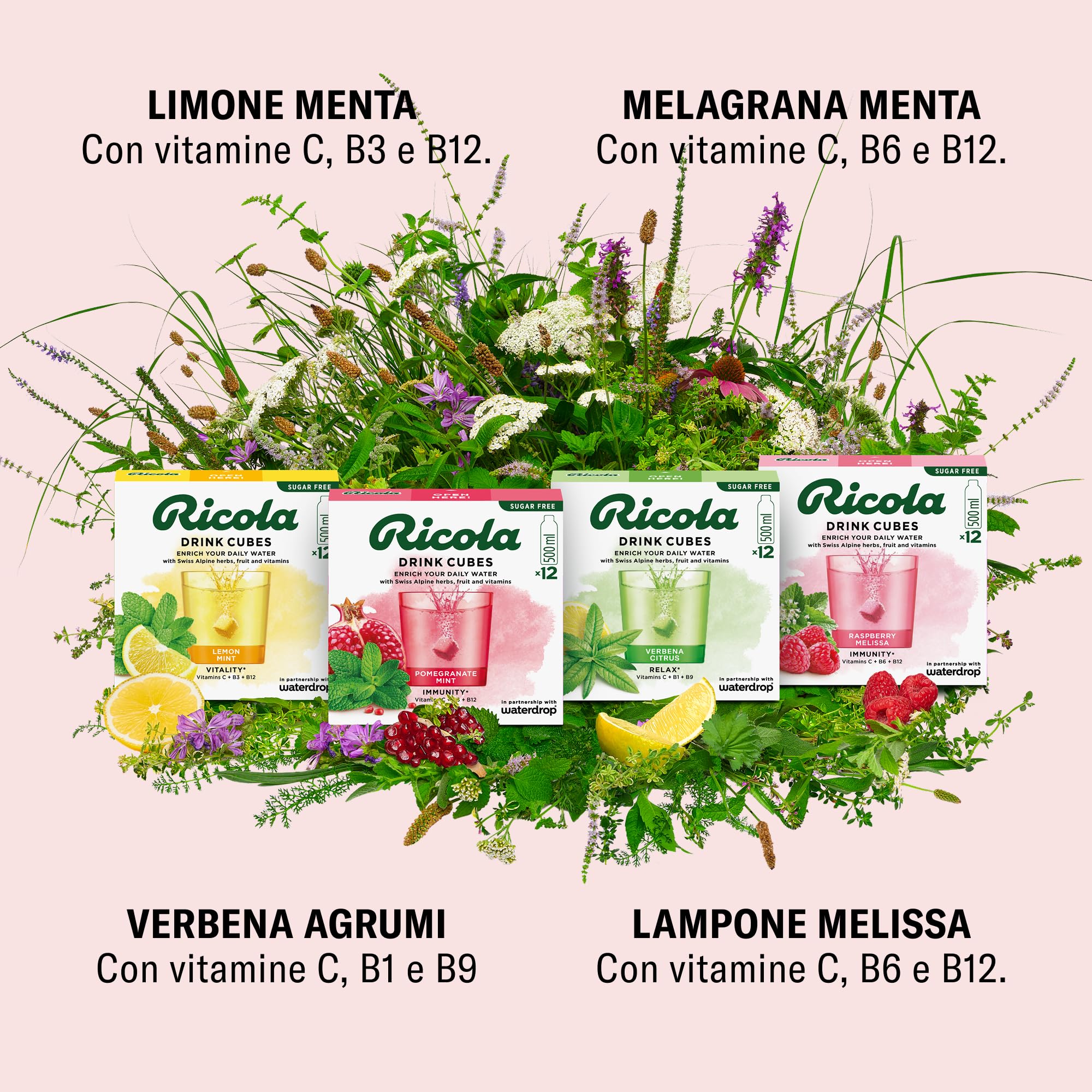 waterdrop® x Ricola - 48 Cubetti per Acqua - Pacchetto di Prova 4 Gusti Aromatizzanti - Lampone Melissa, Verbena Agrumi, Melagrana Menta & Limone Menta, Acqua aromatizzata Senza Zucchero, Vitamina C