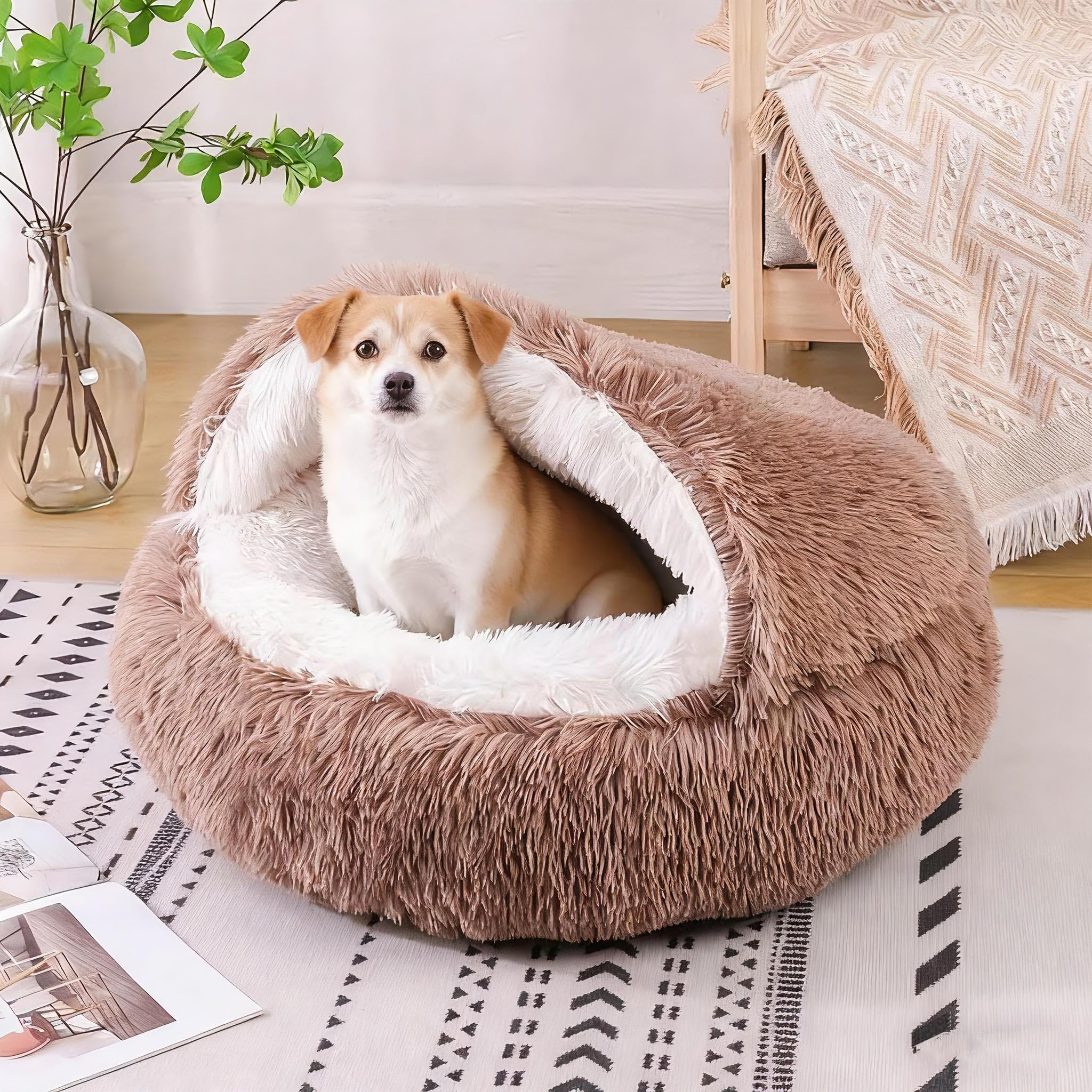 Sedile Cane Pelle Per Auto Cintura Kia Ceres Cestino Letto Cesto Divano - Foto 11