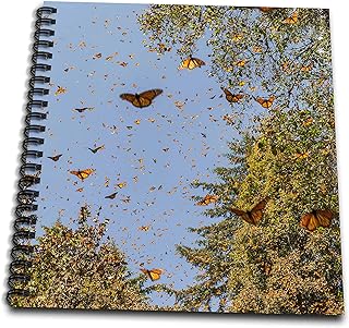 Memory Book 12 x 12 inch - Monarch butterflies in Flight, Cerro Pelon reserve, Michoacan, Mexico Mexico