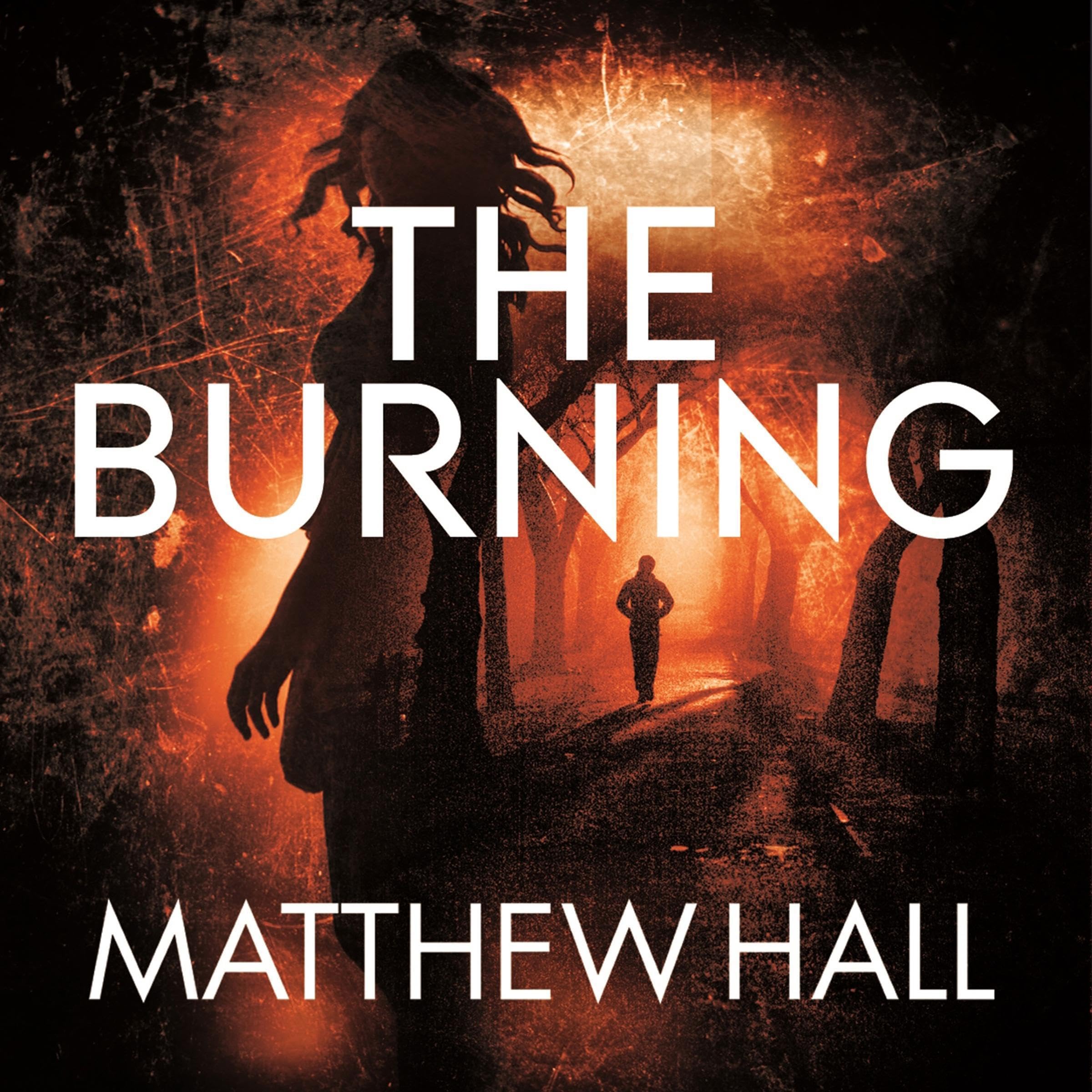Cover art for The Burning: A Coroner Jenny Cooper Novel 6