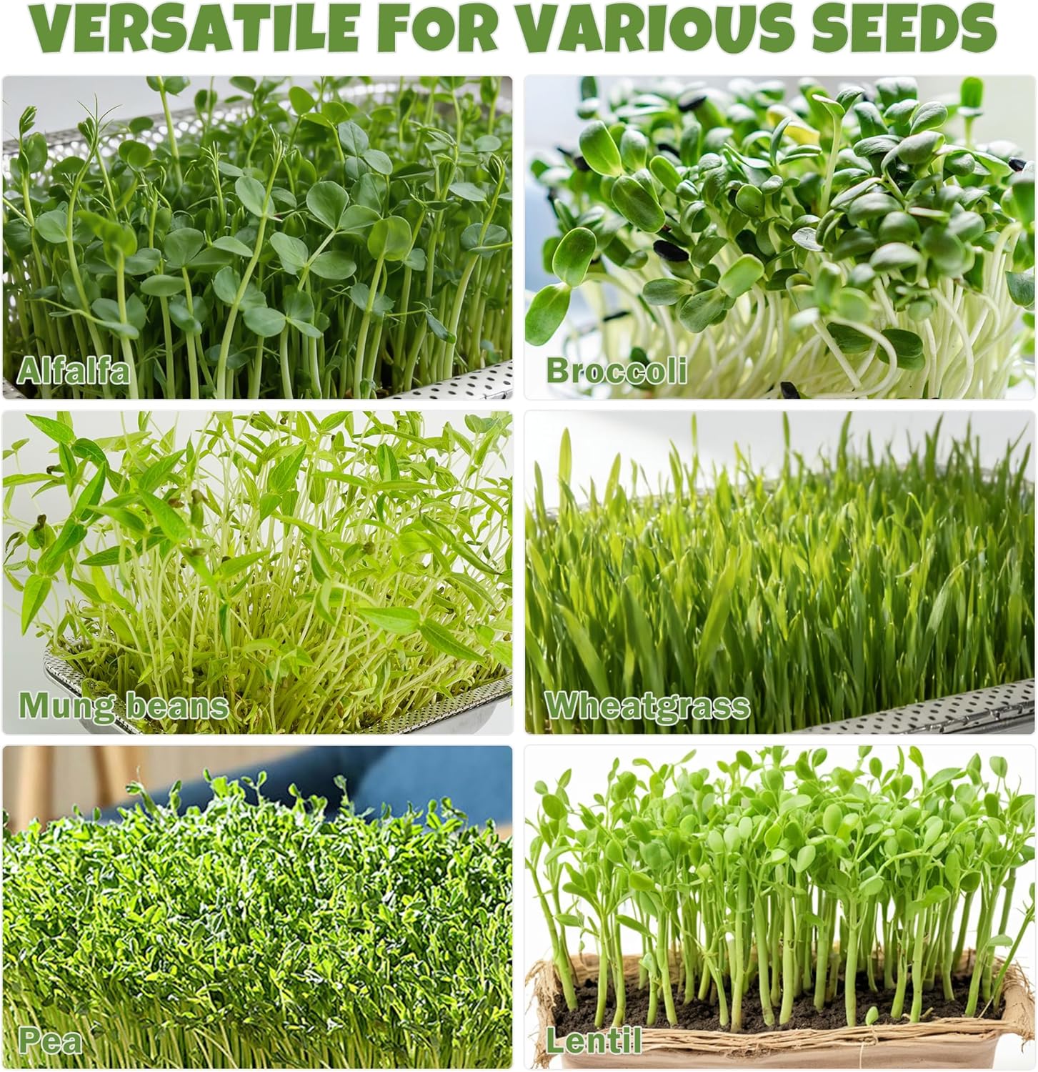 2 Pack Stainless Steel Seed Sprouter Trays, 2-Tier Soil-Free Microgreens Growing Kit, Sprouting Tray with Cover Lids & Mesh Pads for Sprouts Beans Alfalfa Wheatgrass