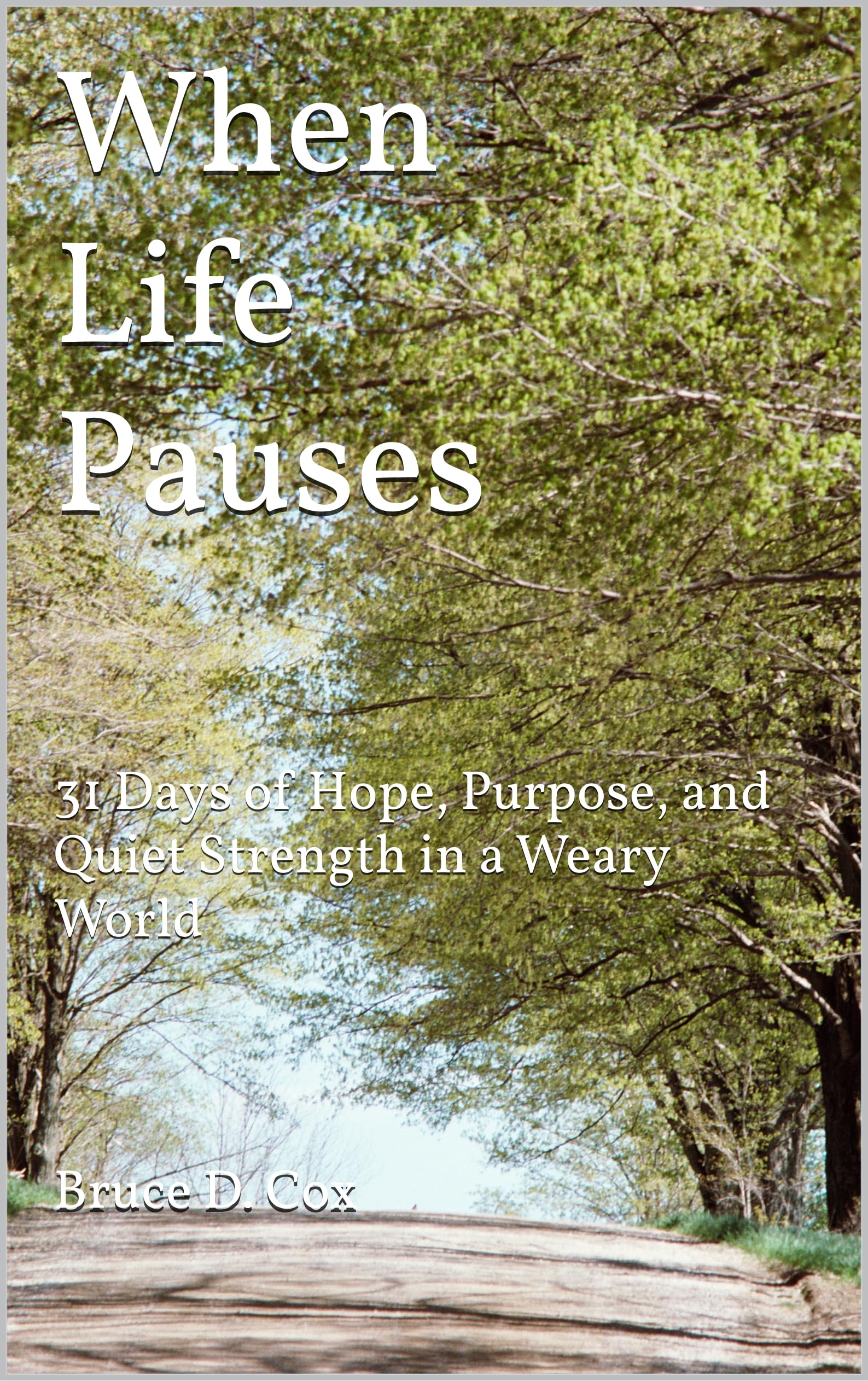 When Life Pauses (The Quiet Strength Devotional Series Book 1)