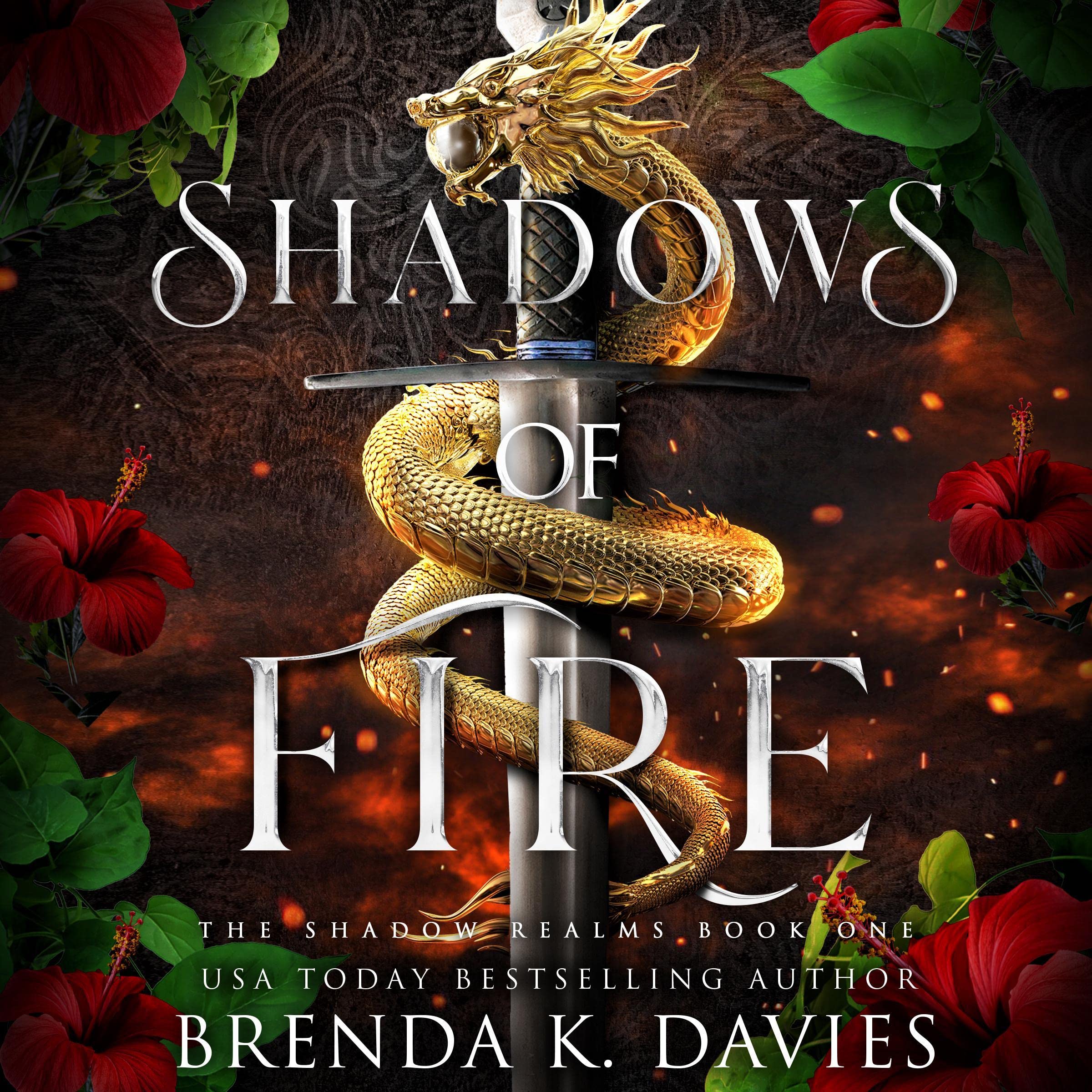 Cover art for Shadows of Fire