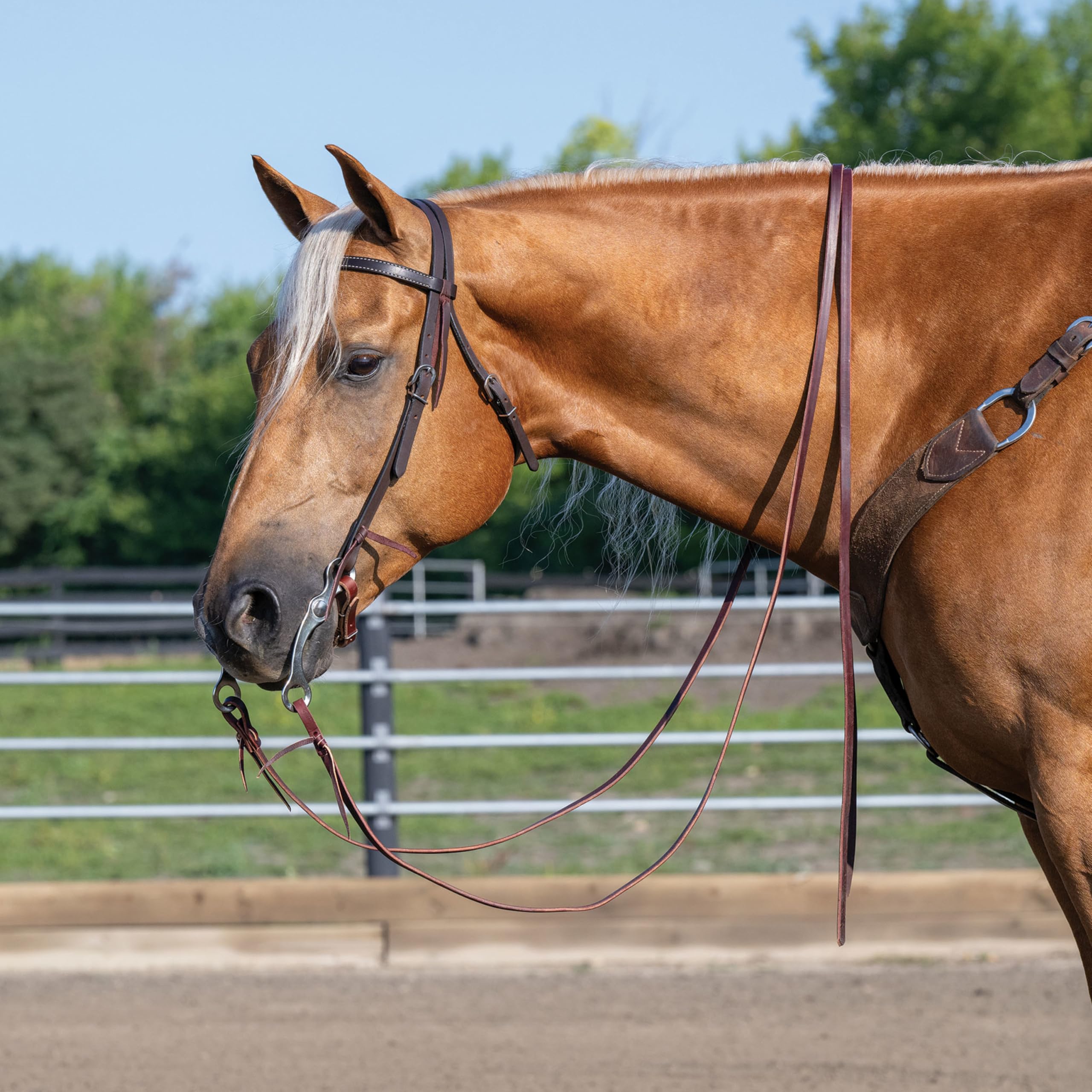 Turchese Croce 45 – 0150 Skirting Leather Browband Headstall, Horse Size, Scuro Oliato