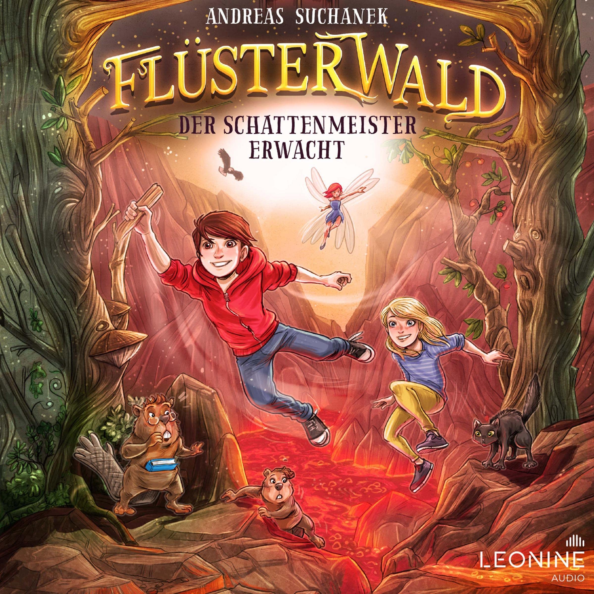 Cover art for Der Schattenmeister erwacht
