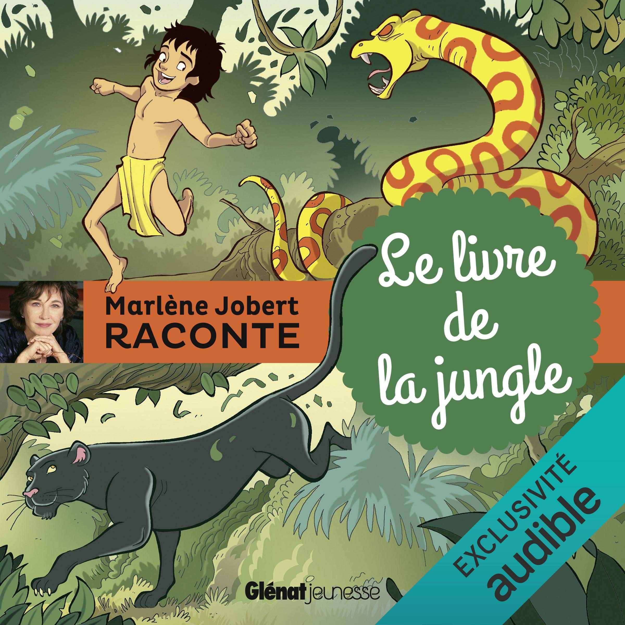 Cover art for Le livre de la jungle