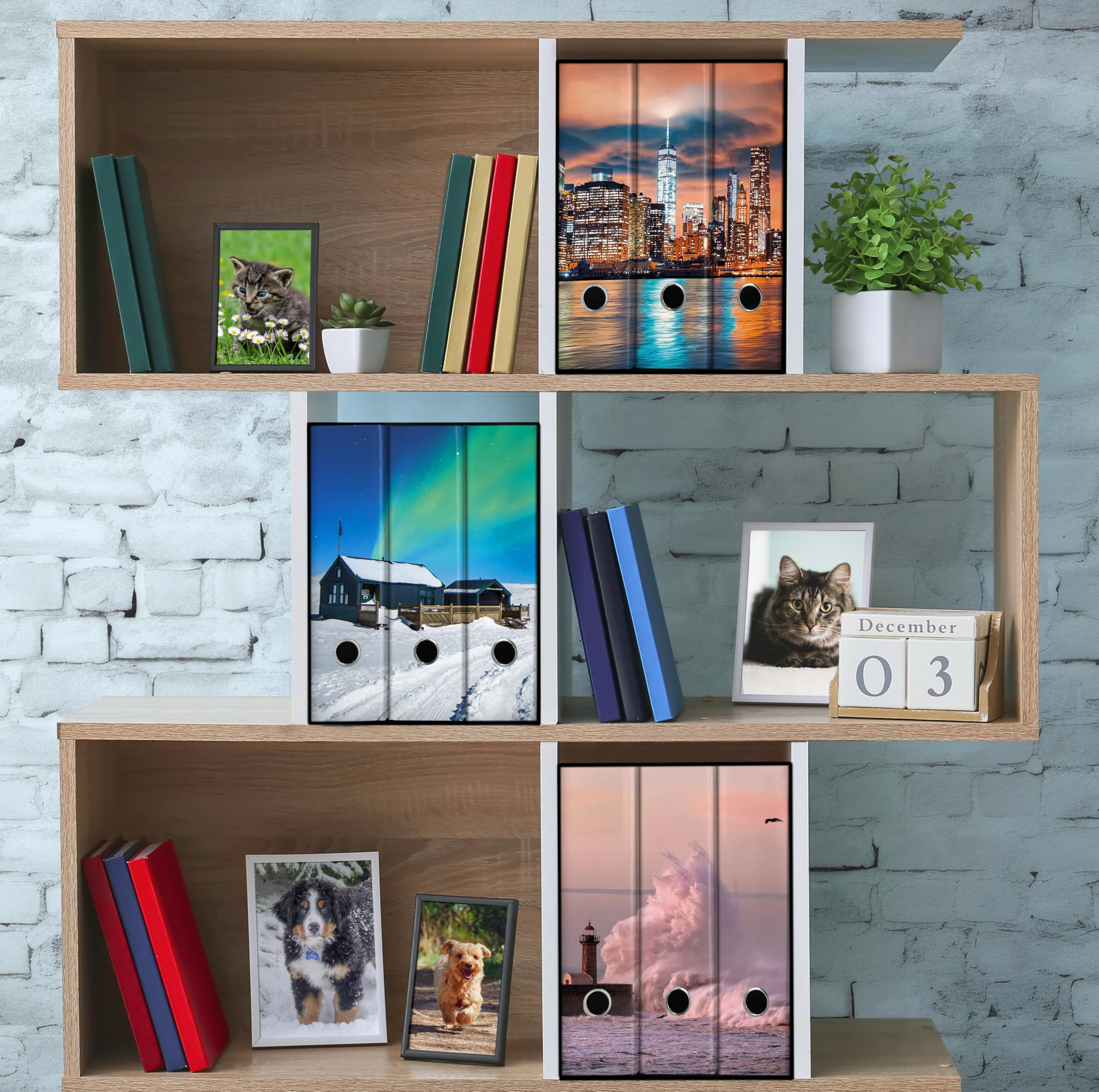 Set da 3 raccoglitori ad anelli - NEW YORK (H31 cm con 2 anelli)
