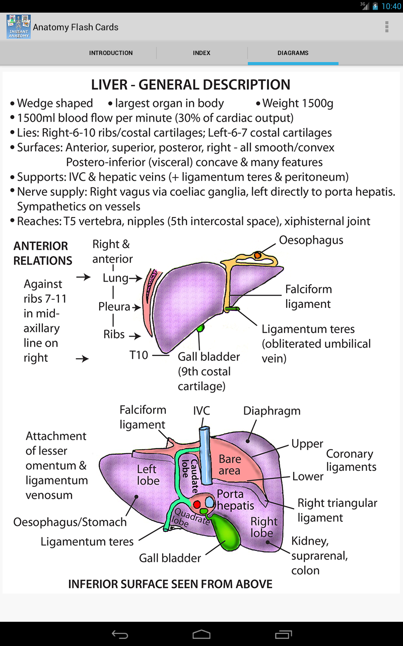 Anatomy Flash CardsAmazon.co.ukAppstore for Android