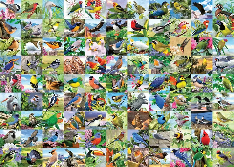 Ravensburger 99 Delightful Birds 300 Piece Large Format...