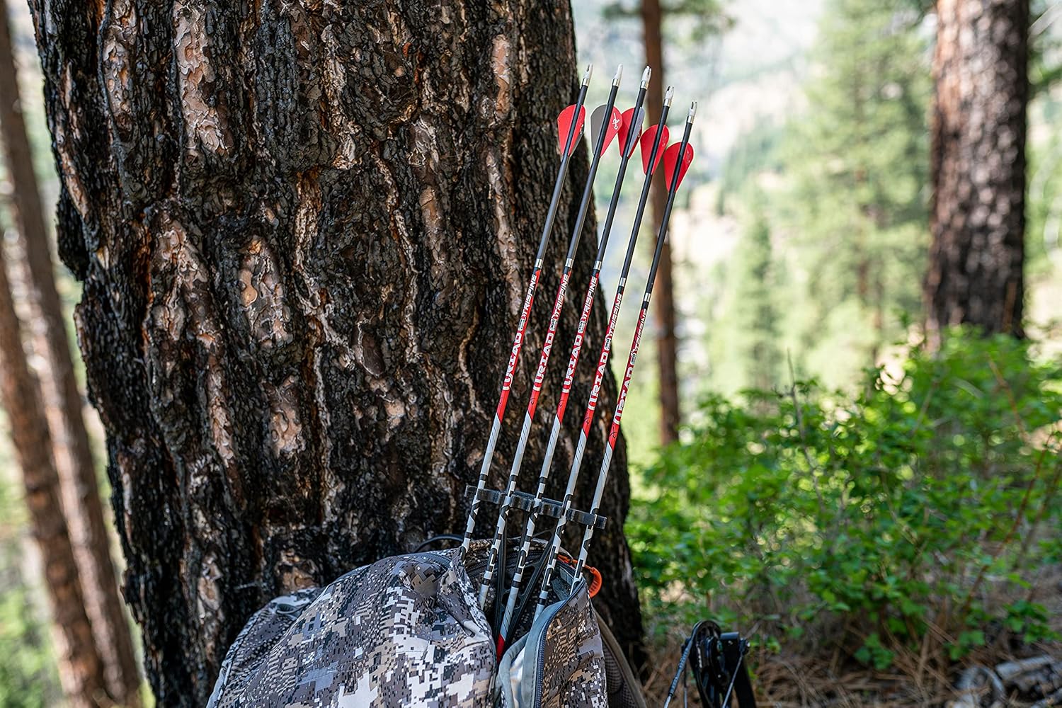 Carbon Express Maxima Triad Tri-Spine XSD Fletched Arrow - Bulldog Nock Collar, 400 Spine Shaft with 2" Quadel Raptor Vanes, 6 Pack