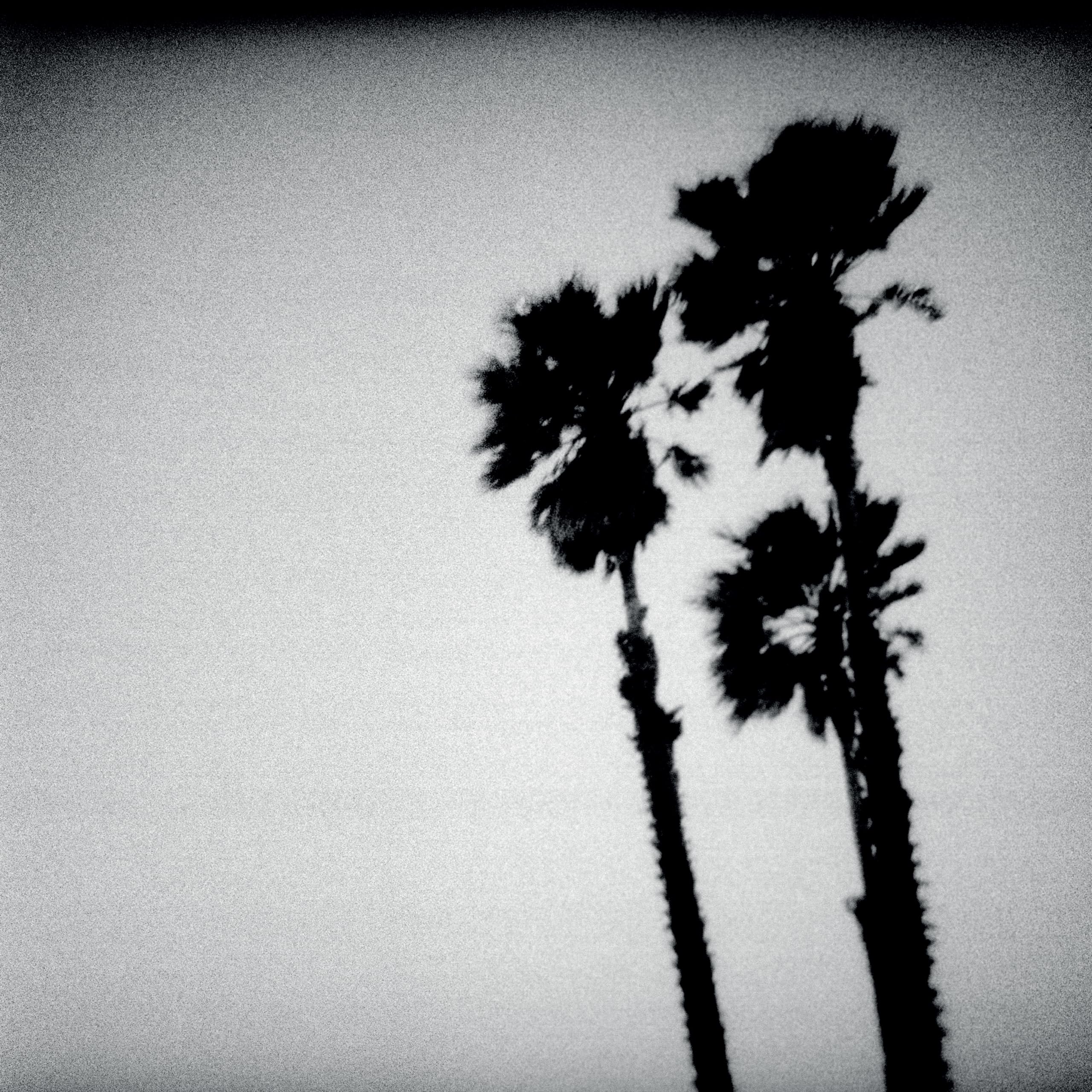 The Twilight Singers Play Blackberry Belle