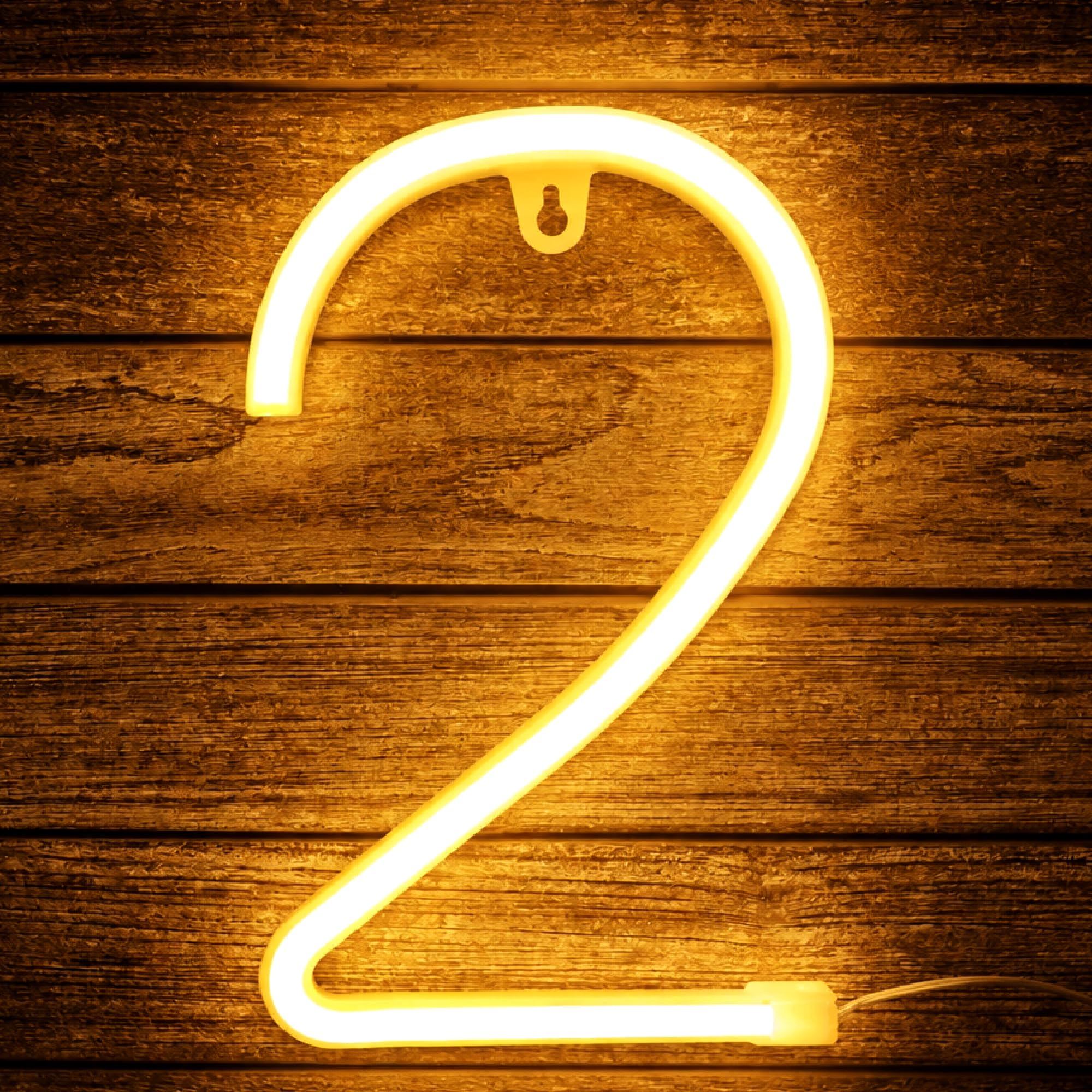Neon Number Light, 22cm Warm White Light up Number, Gift for Birthday