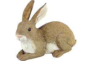 Bashful the Bunny: A Hoppy Garden Statue