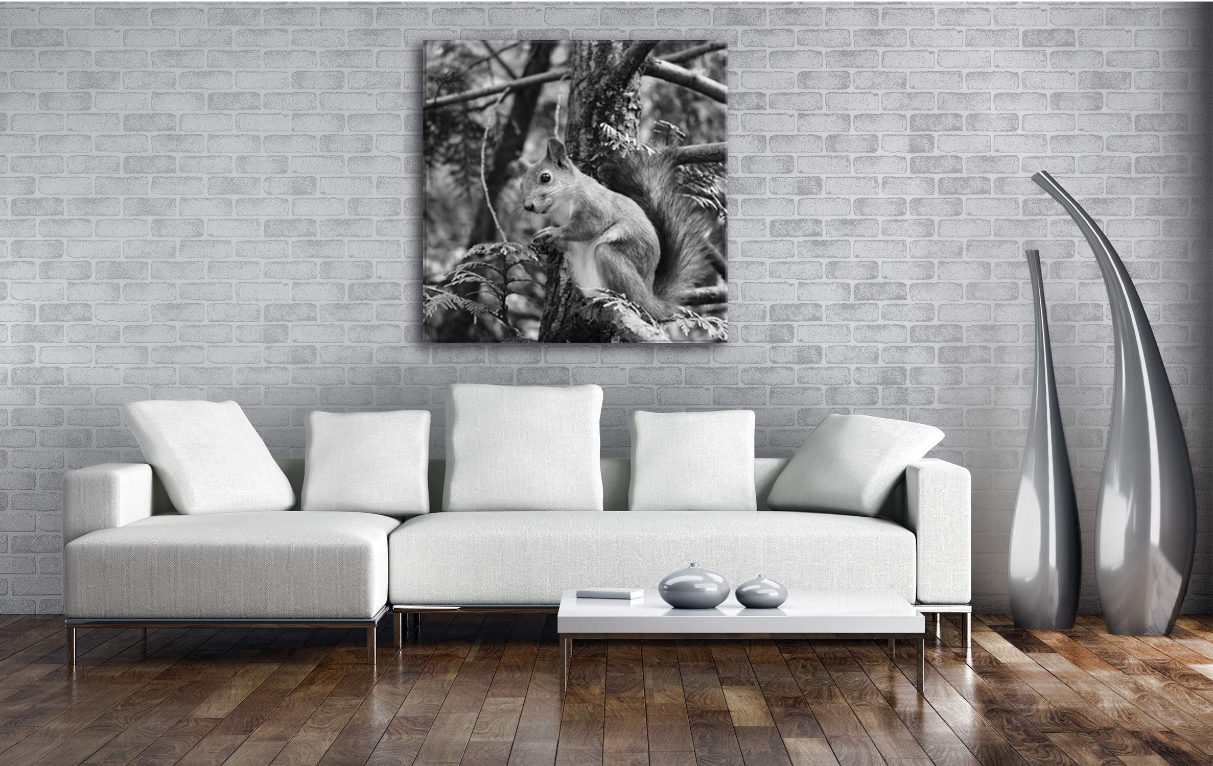 Joli Effet écureuil : Noir et Blanc comme Toile montée sur châssis en Bois véritable Impression numérique avec Cadre, Pas de Poster ou de Affiches, 40x40