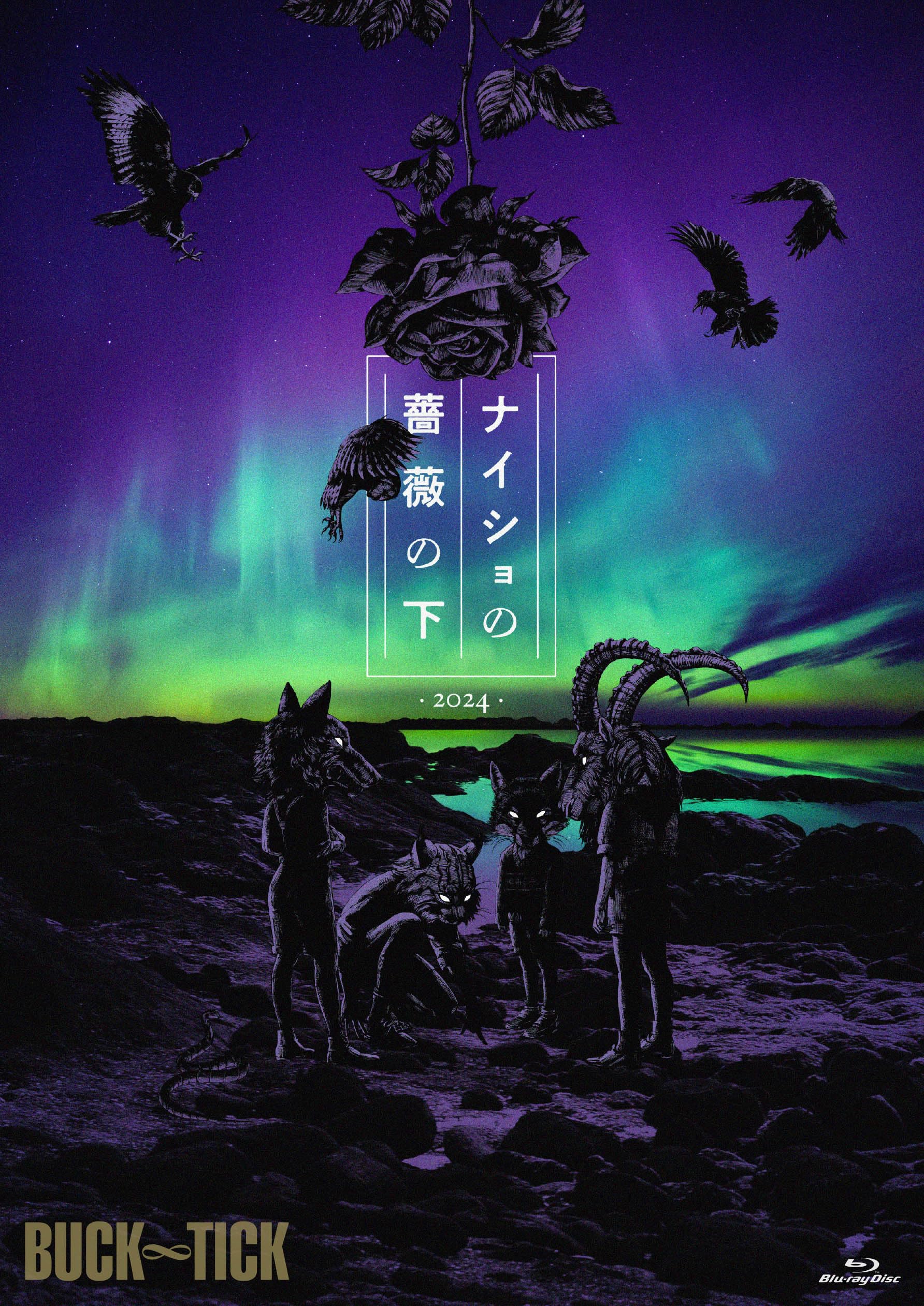 Amazon.co.jp: ナイショの薔薇の下 2024 [Blu-ray通常盤] [BD