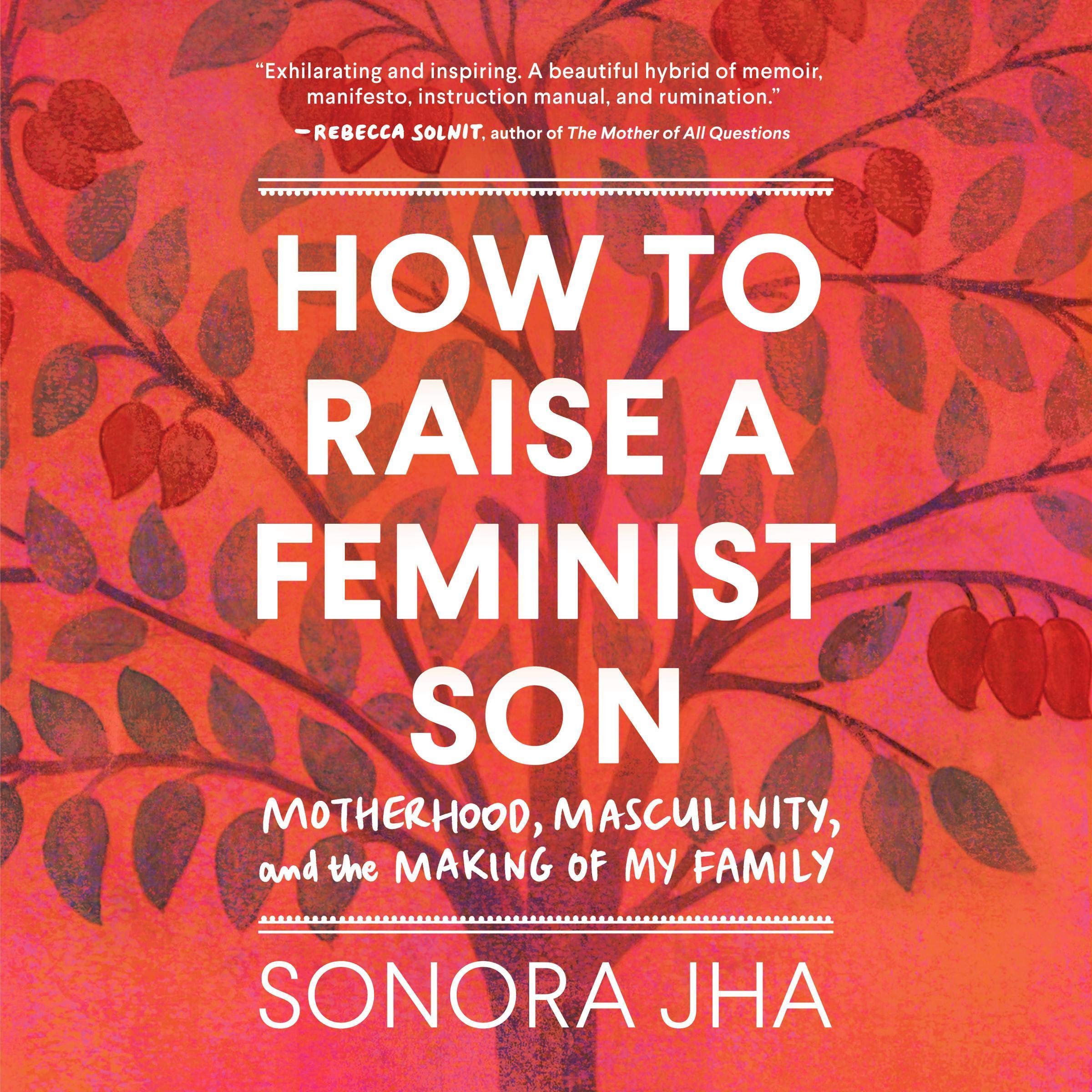 Cover art for How to Raise a Feminist Son