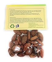 Vista 2 de Semilla de Cacao Semilla de Cacao 1 Oz