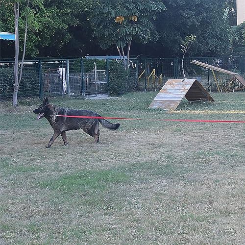 Miniatura 8 de Correa de entrenamiento para perro o cachorro para entrenamiento de agilidad, 15, 20, 30, 40, y 50 pies de largo, para entrenamiento de correa,