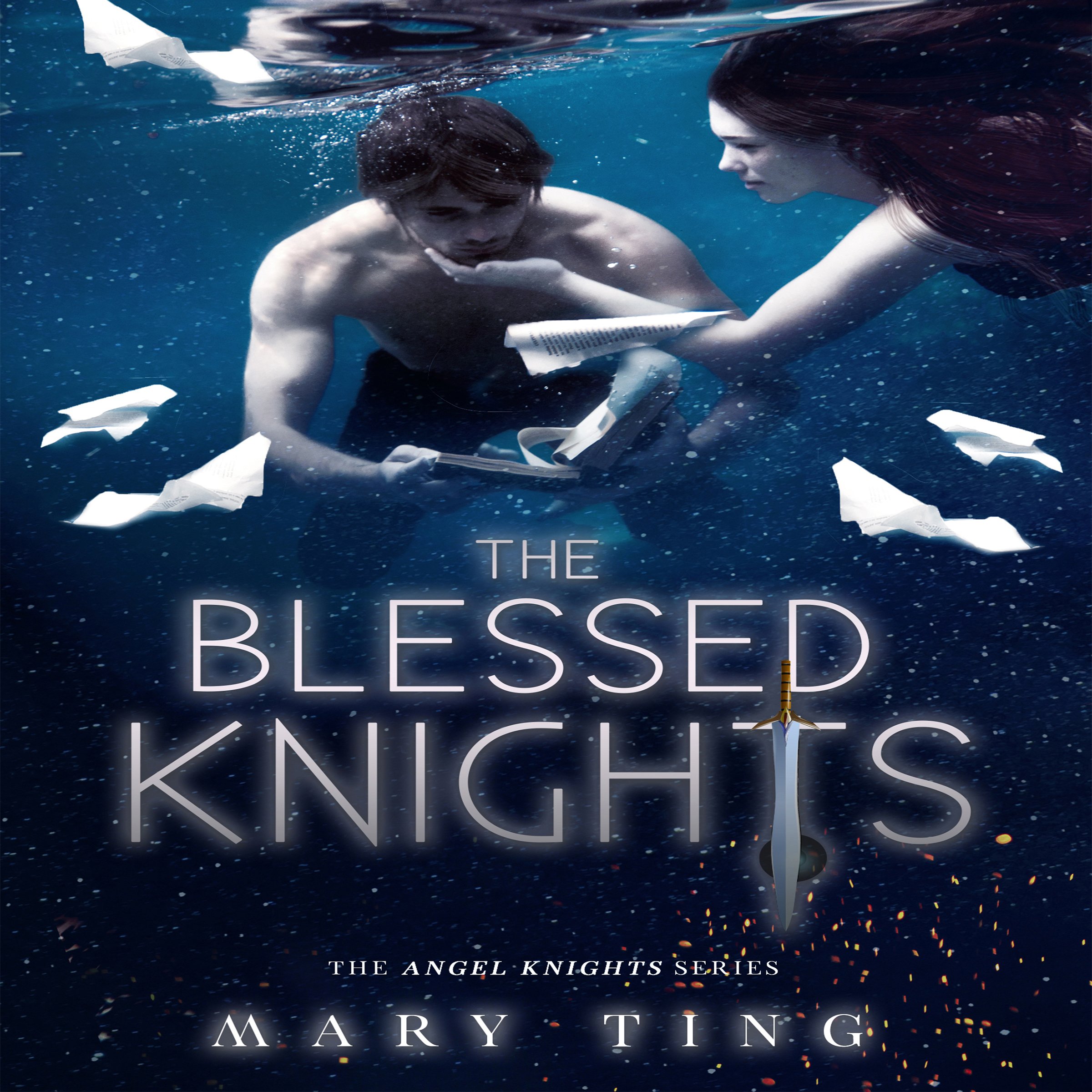 Cover art for The Blessed Knights
