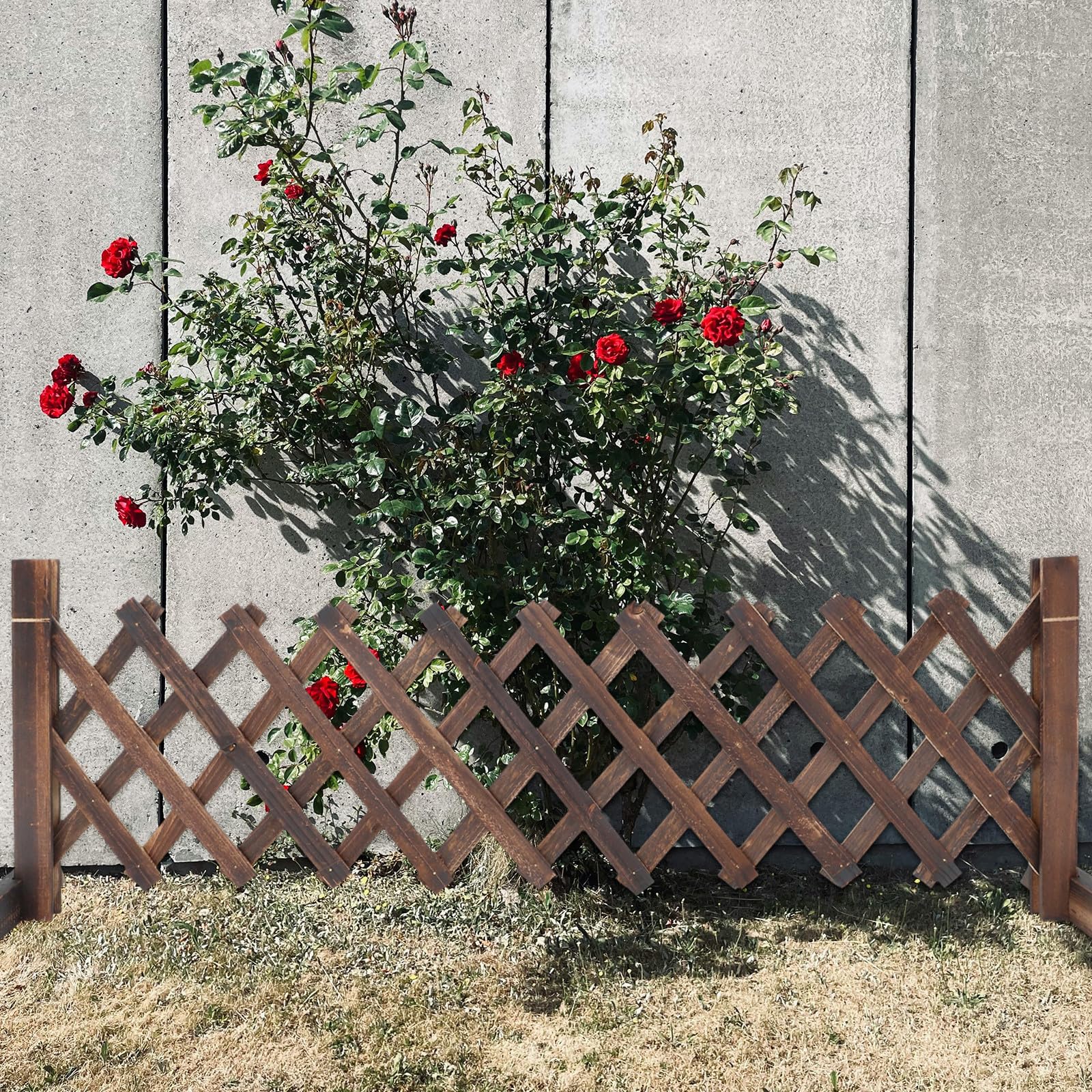 Recinzione da Giardino Retrattile in Legno Marrone Caffè, Regolabile