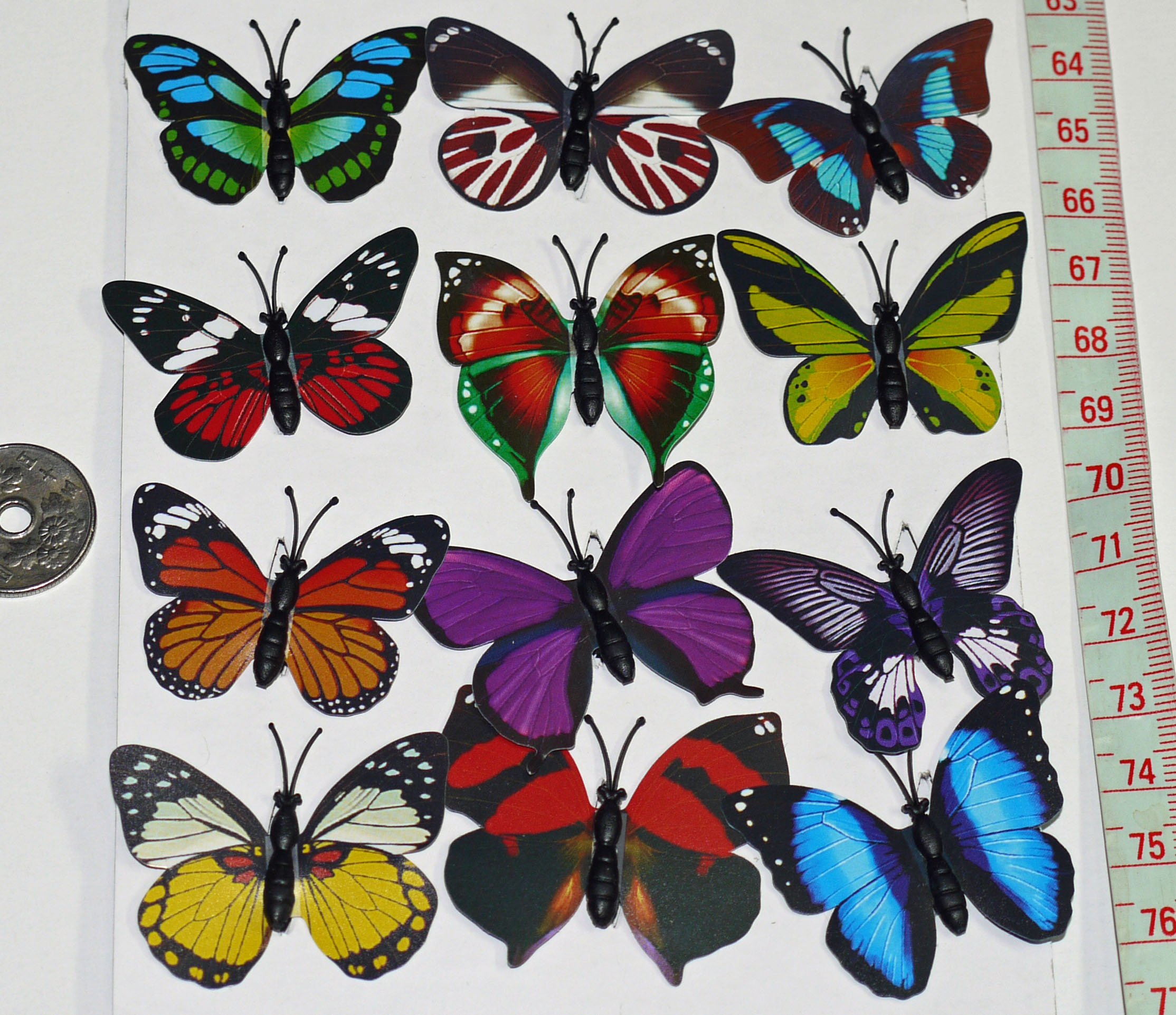 Amazon | 【中国雑貨】 色鮮やかな蝶のマグネット 蝶々 『12pセット