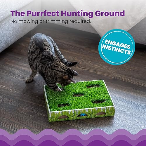 Catstages Grass Patch Hunting Box — alternate angle