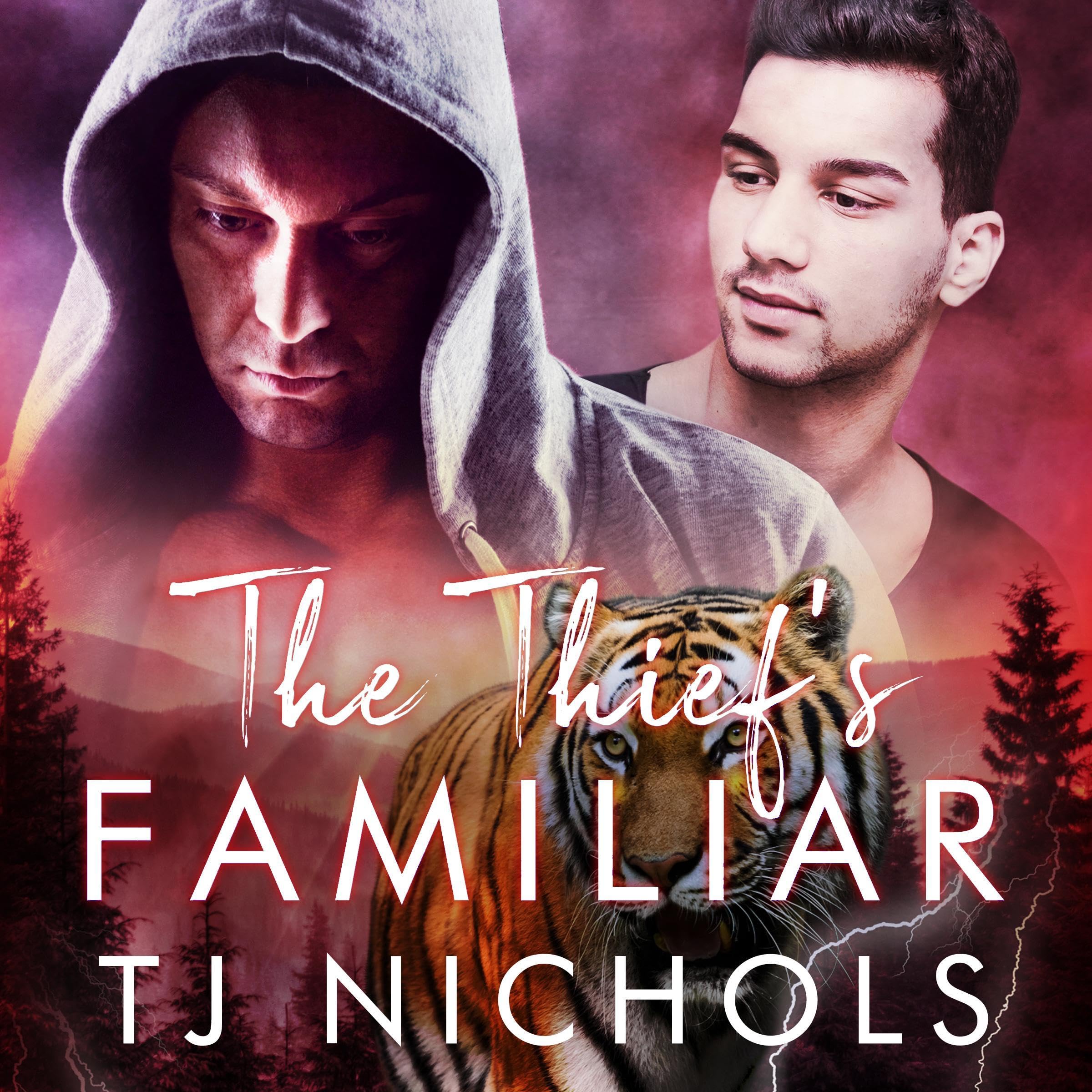 Cover art for The Thief's Familiar