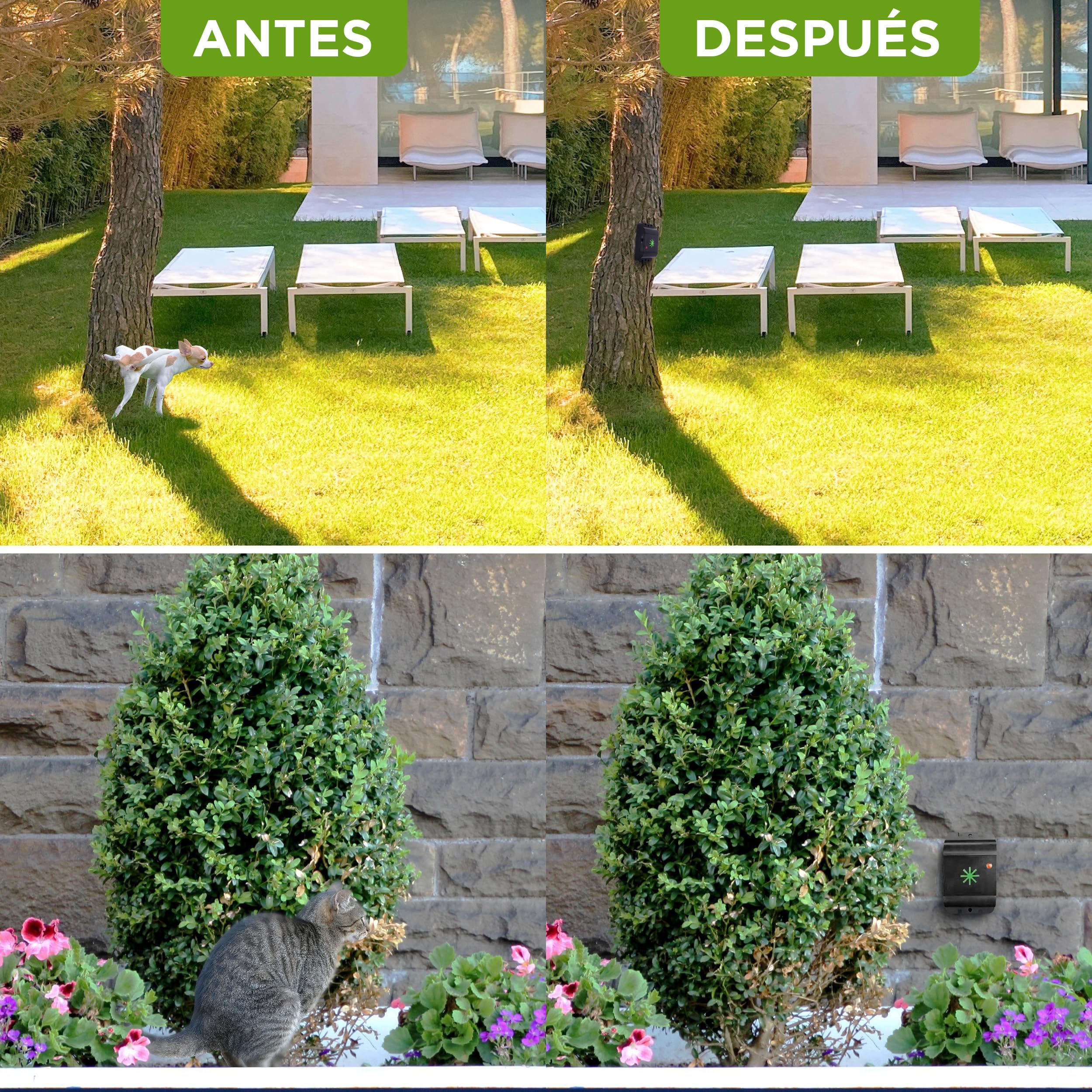 ISOTRONIC Repelente ultrasónico para Gatos y Perros: disuasivo para Gatos en graneros, Jardines, Coches y garajes; ahuyentador para Perros a Pilas con un Alcance Efectivo de 40 m² (3 Unidades).