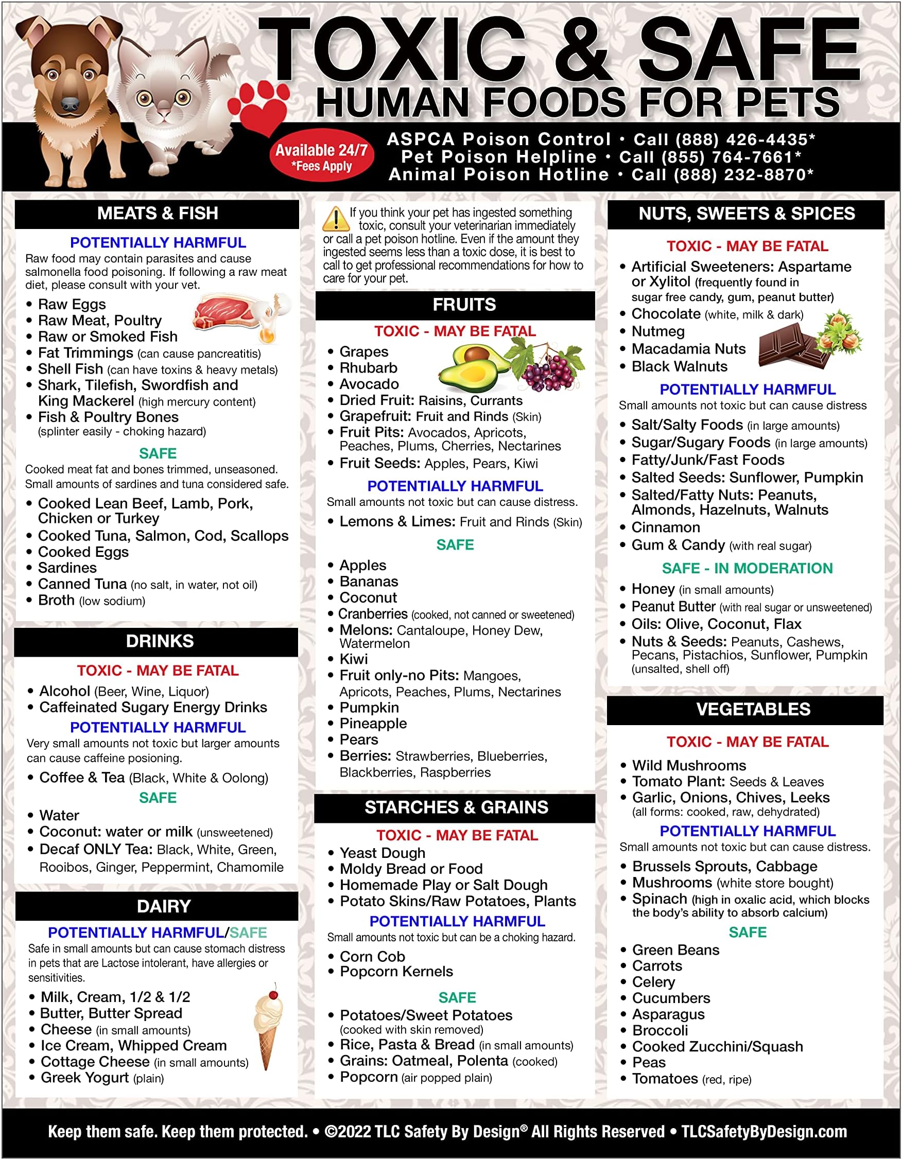 Premium Toxic and Safe Foods Poison for Pets Dogs Cats Emergency Home Alone Large Format 8” x 10.5” Veterinarian Approved Refrigerator Safety Magnet (Qty. 1)