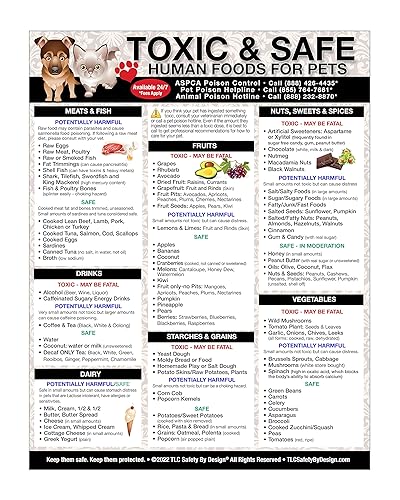 Magnetic List of Toxic Safe Harmful Foods for Pets -