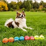Outward Hound Squeaker Ballz – Squeaky Tennis Balls for Dogs Under 25 lbs, Interactive Dog Toy for Fetch & Training, Small (2"), 8‑Pack