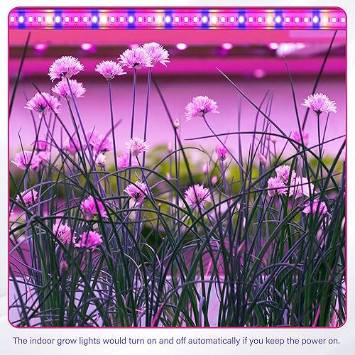 Miniatura 6 de iPower Tiras de luz LED de 20 W de espectro completo para plantas de interior con temporizador de encendidoapagado automático de 3612 horas 10
