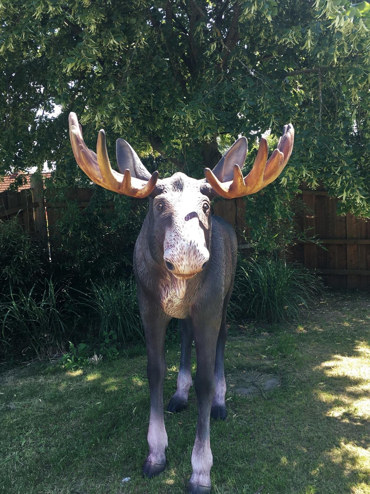 Lebensgroßer Elch Elche Lebensgroße Tiere Rudolph Rentier EDlchkuh Elchbulle Elchkalb