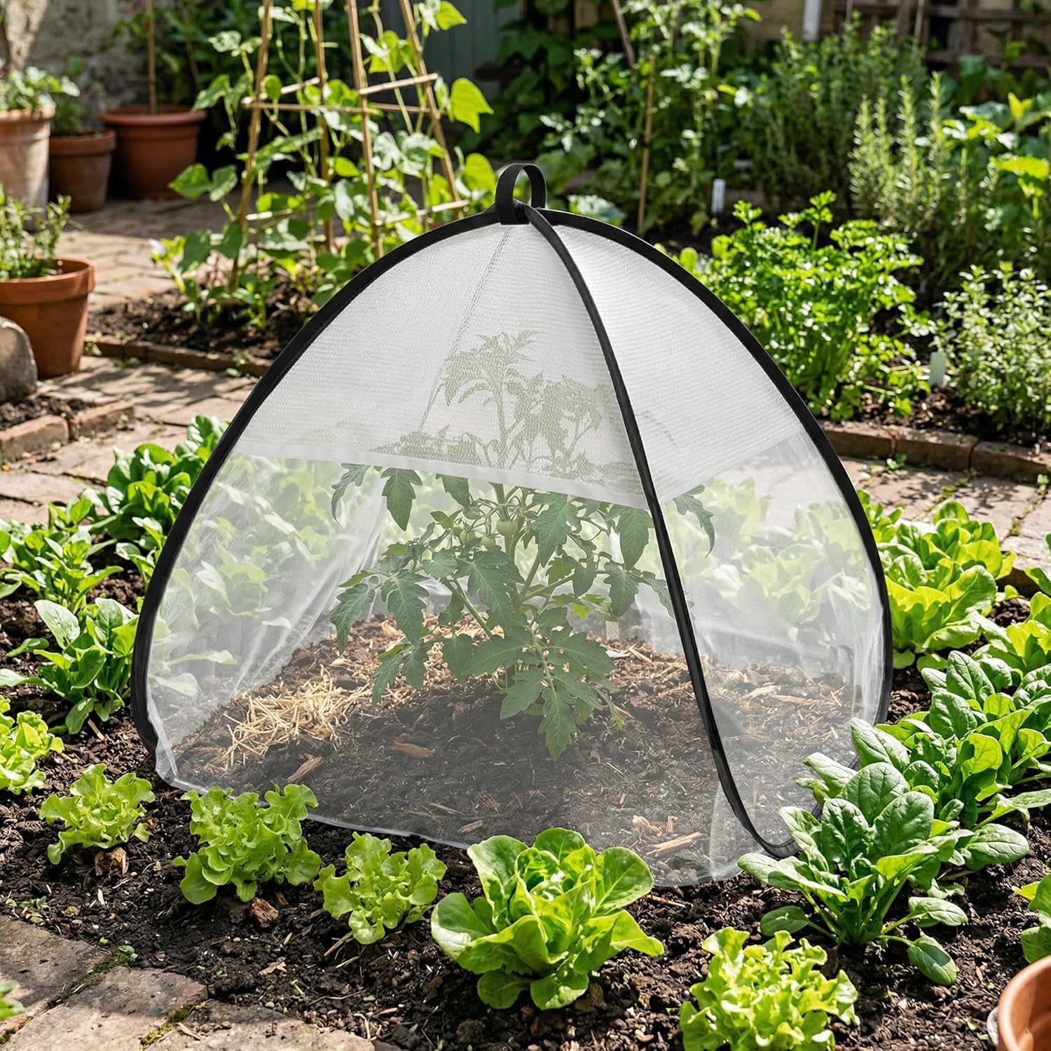 2 Pcs Pop Up Garden Netting Bug and Shade Covers, 22" x 22" x 22" Plant Sun Shade Top Bird Netting Tents, Insect Barrier Sun Protection Plant Cover Tent for Outdoor Plants Vegetables Fruits (White)