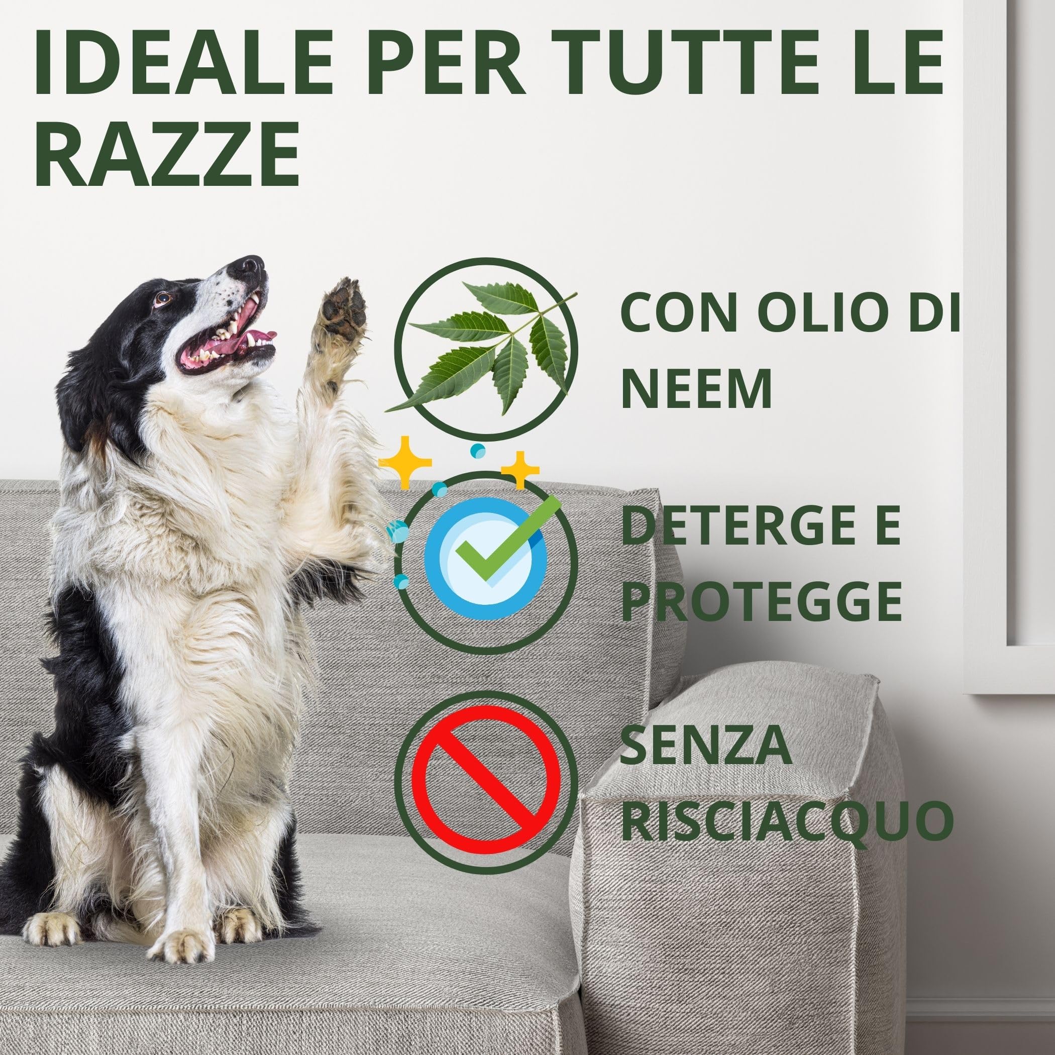 Kit Shampoo secco per cani senza risciacquo 300ml, Spray districante sciogli nodi pelo cane 300 ml e Spray pulisci zampe 300ml, formula naturale con olio di neem timo e argan - Made in Italy