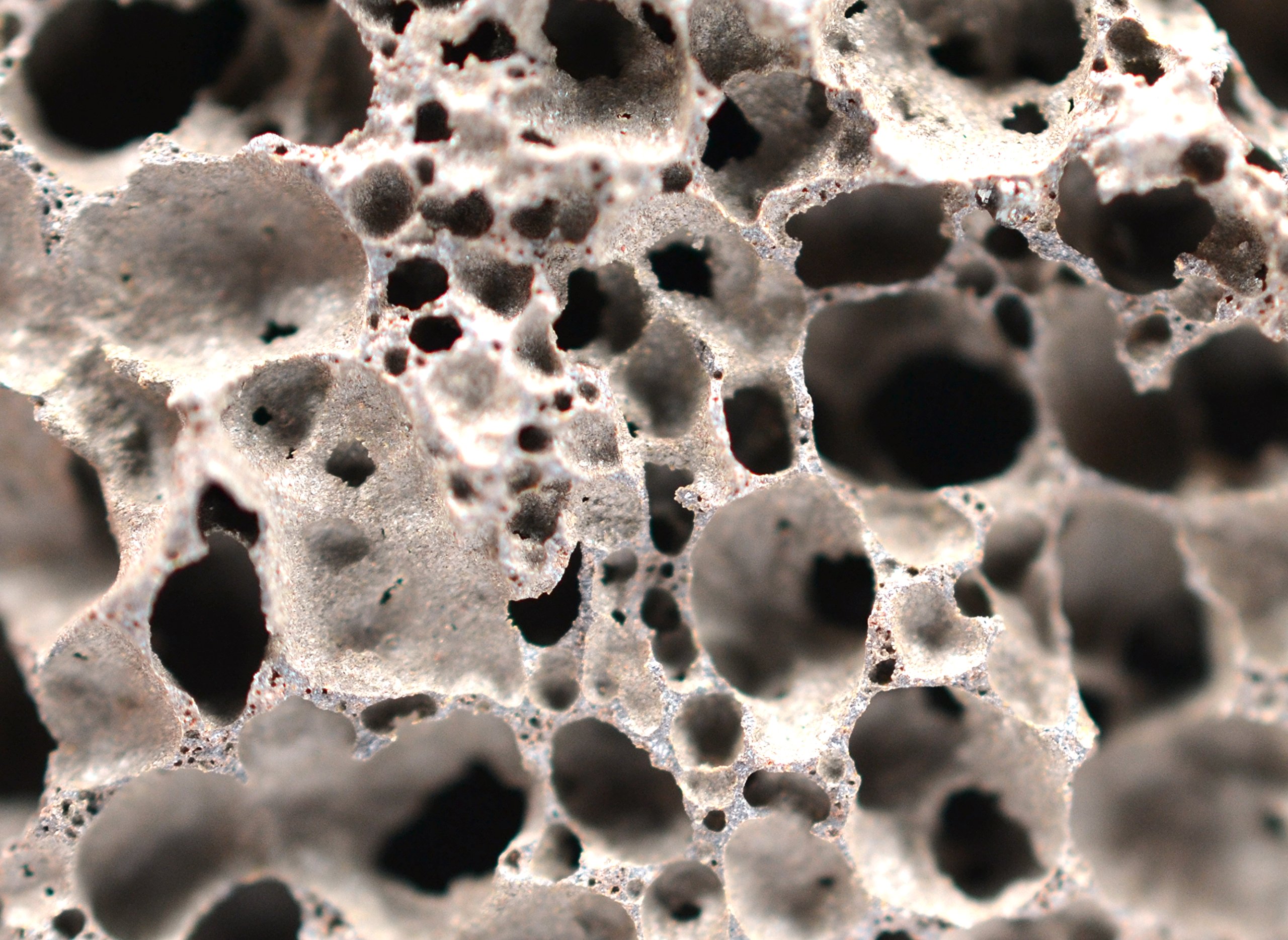 EISCO Scoria Specimen (Igneous Rock), Approx. 1