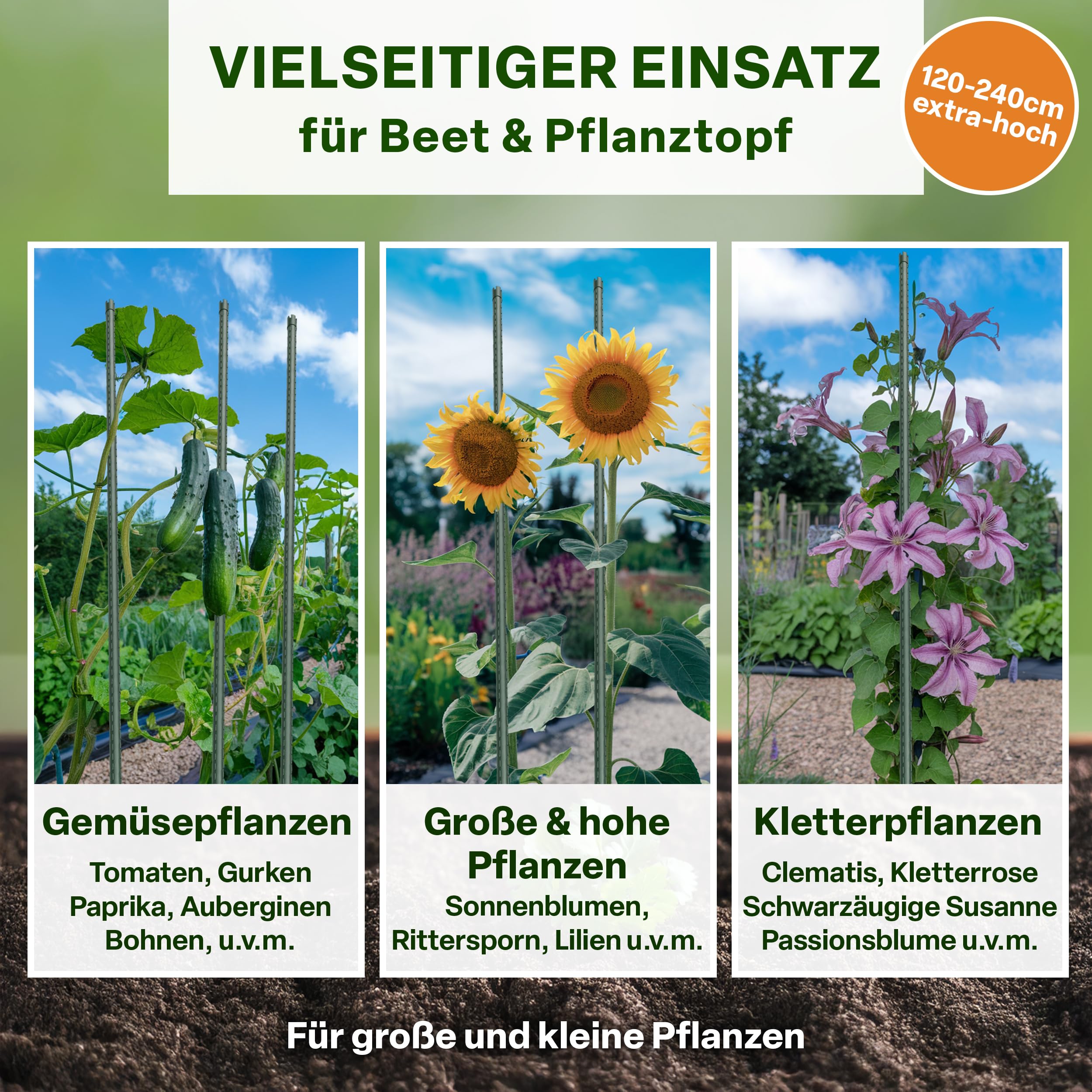 TTL GARDEN Lot de 10 tuteurs 240 cm x 11 mm de diamètre - Vert - Tuteurs + bande Velcro - En acier inoxydable revêtu de plastique - Support pour plantes - Pour tomates, poivrons, concombres, haricots