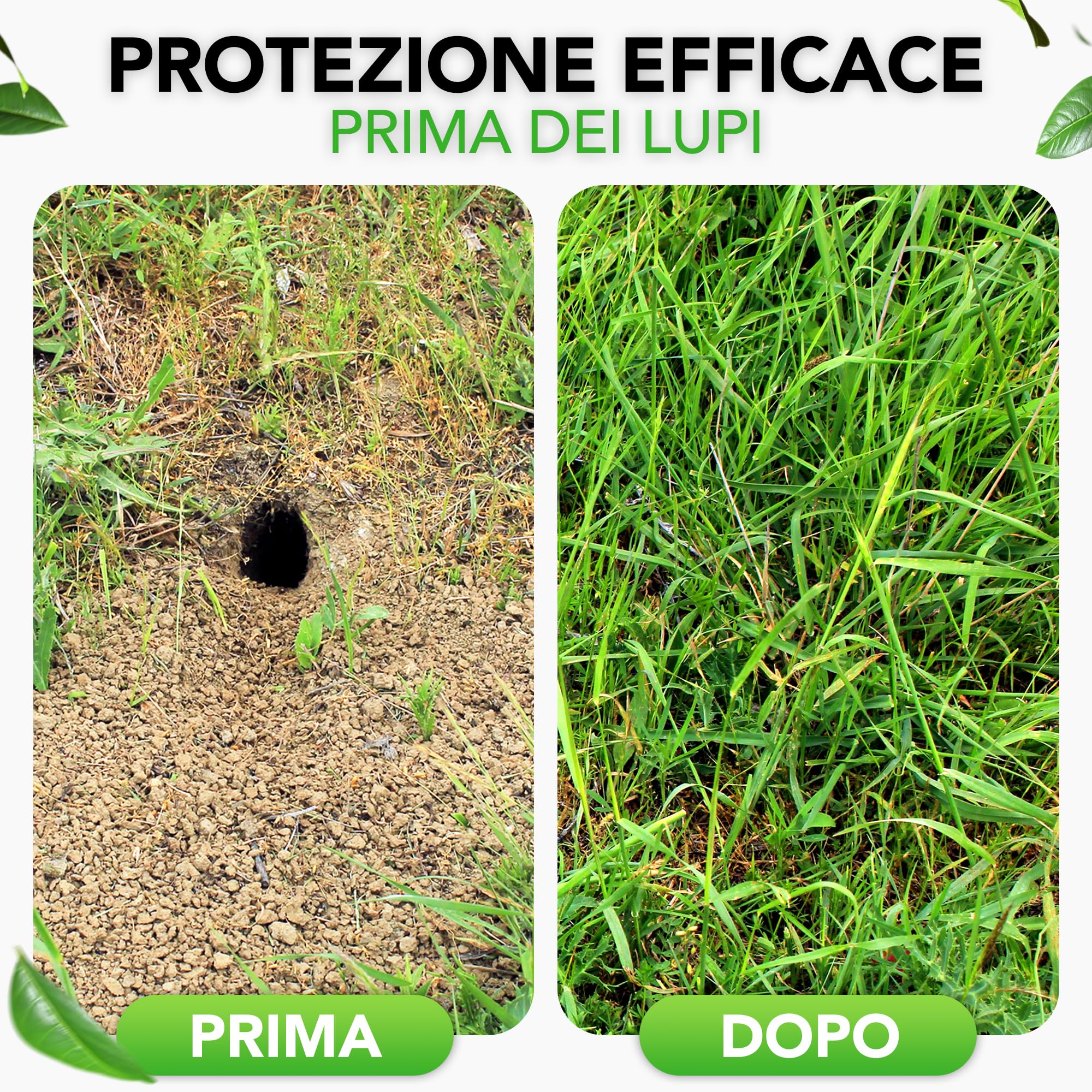 LAINFELD - Rete metallica a maglia fine, 2,1 x 1,1 m, rete anti-talpa per aiuole rialzate con maglie da 6,3 mm, filo per lepre e voliera